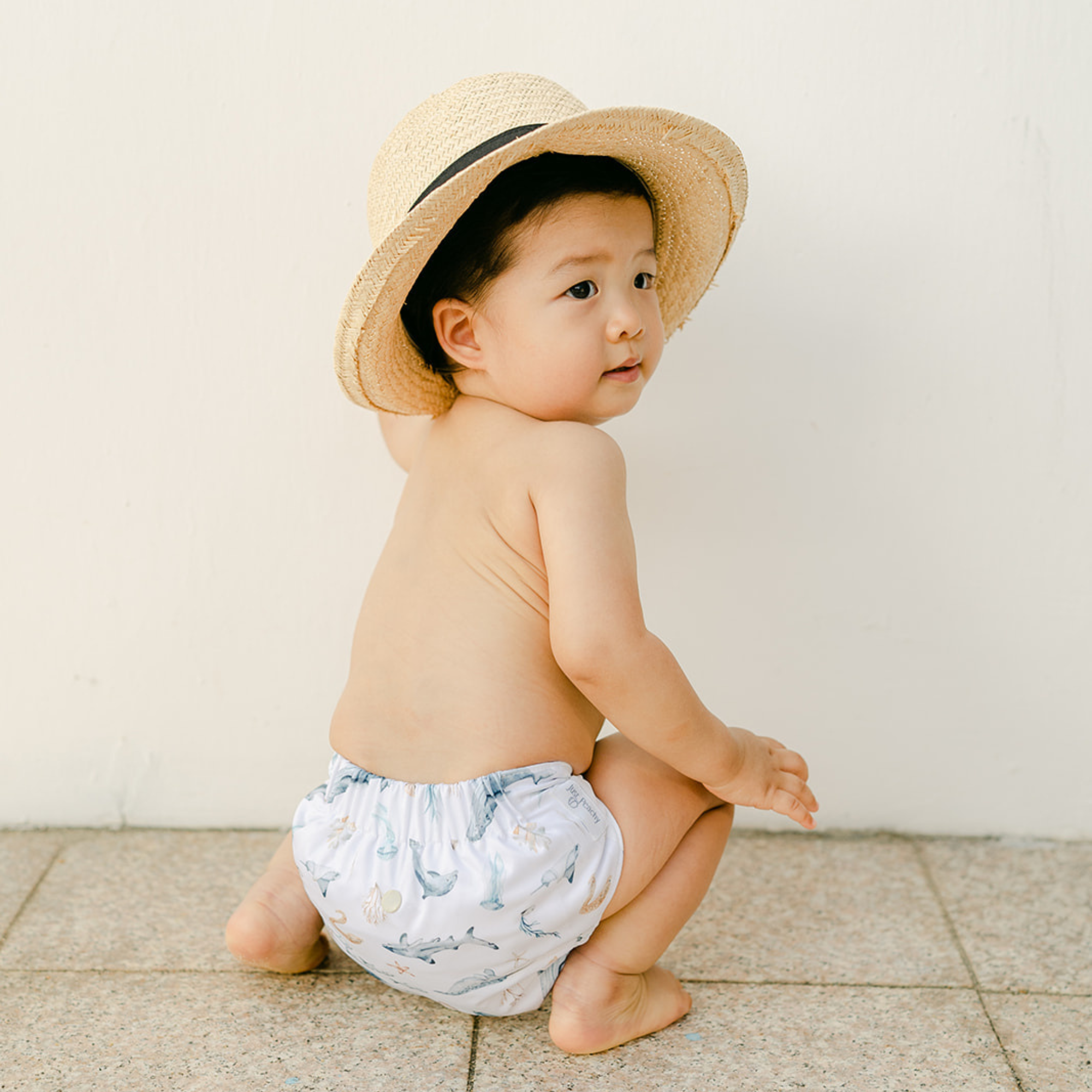 Cloth Diapers - Nature Collection - Single Diaper Set + Inserts