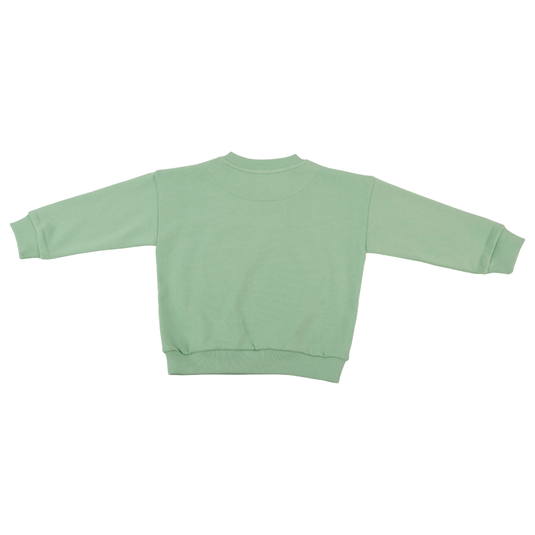 Solid Kids Sweatshirt In Grass Green