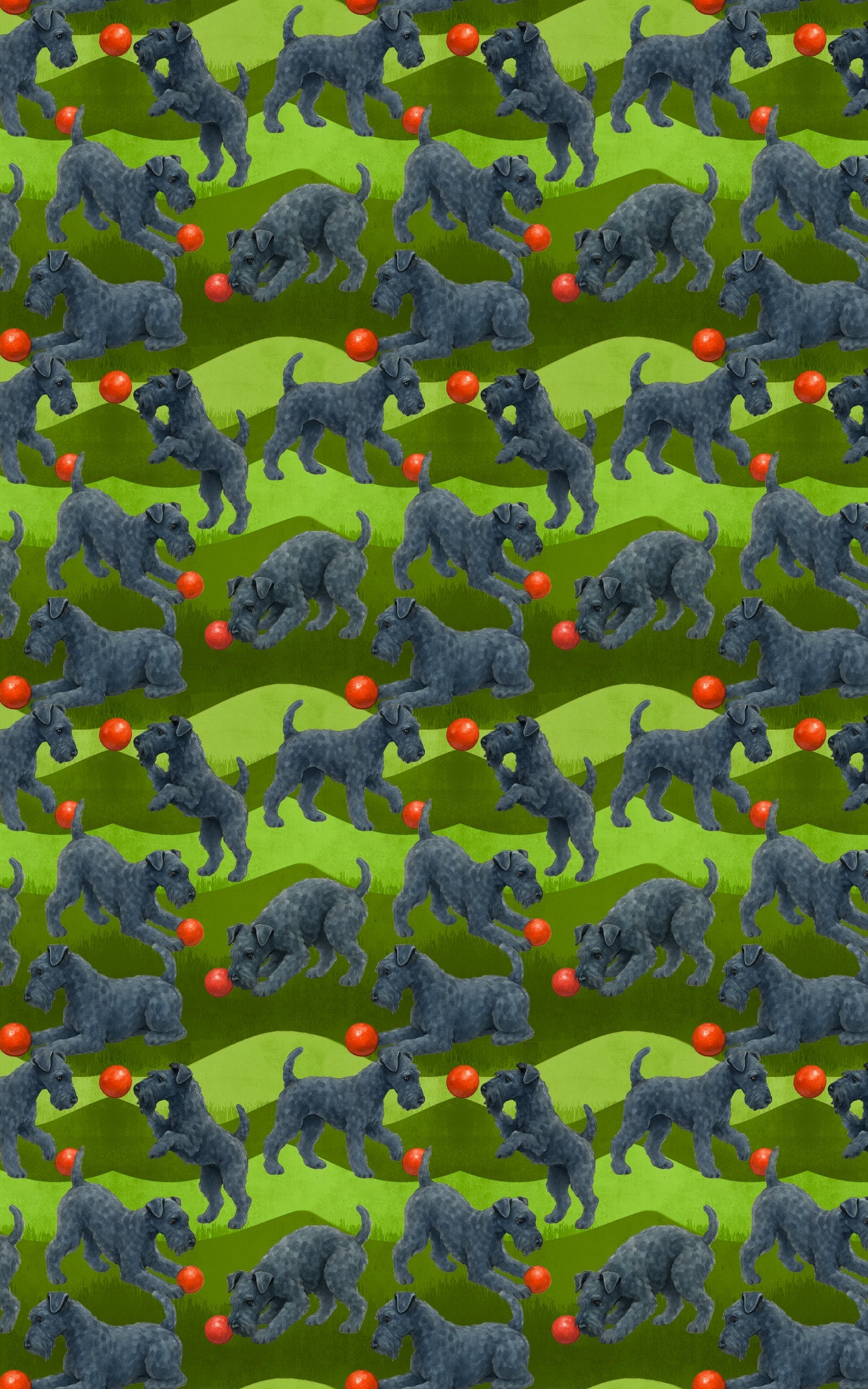 Garden Kerry Blue Terrier