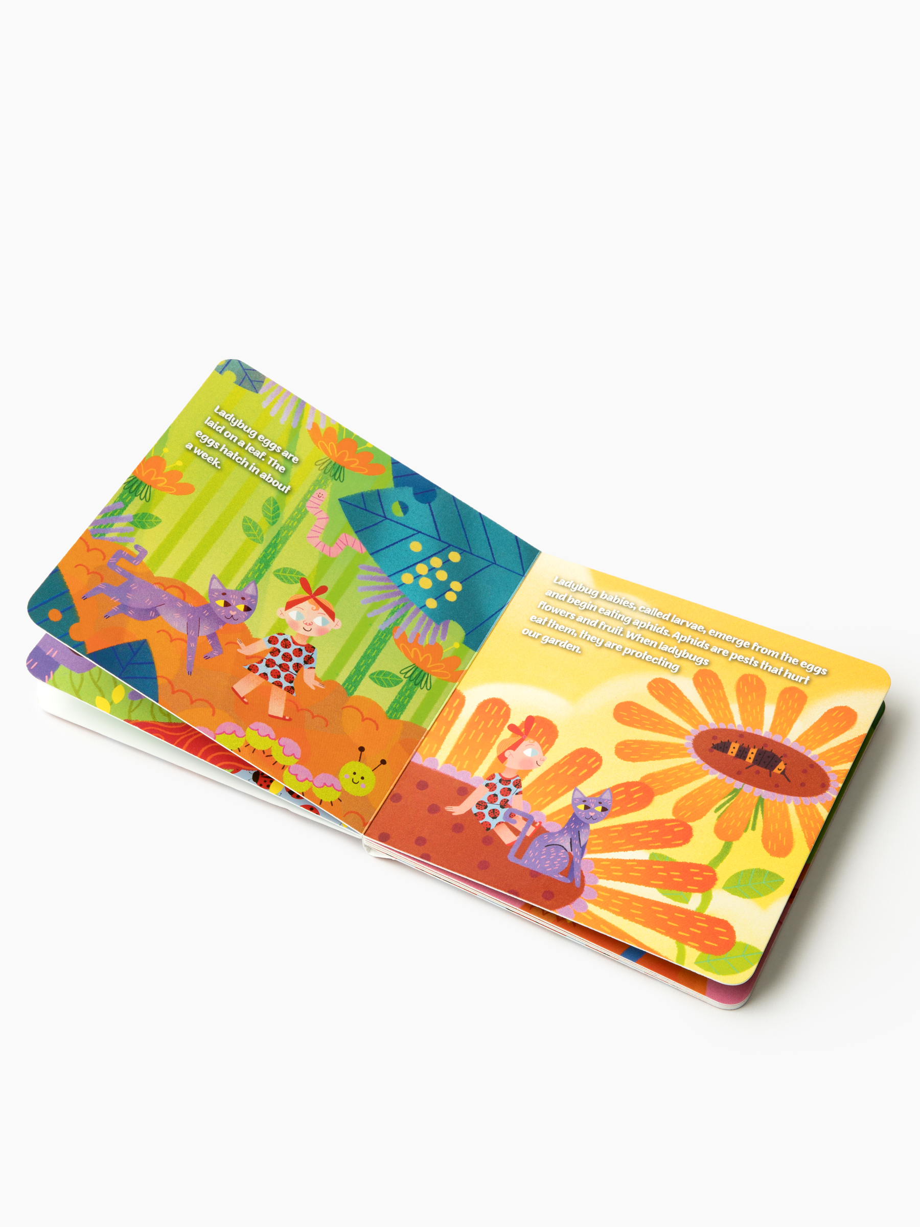 Why Do Ladybugs Have Spots?