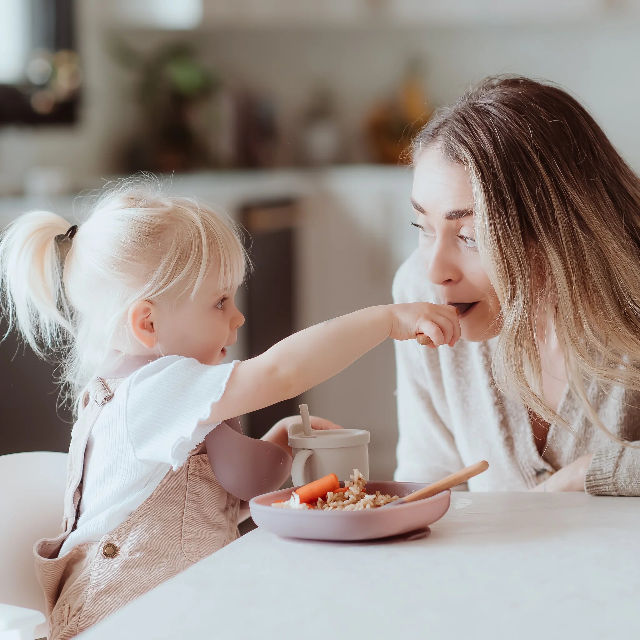 Color Changing Suction Plate
