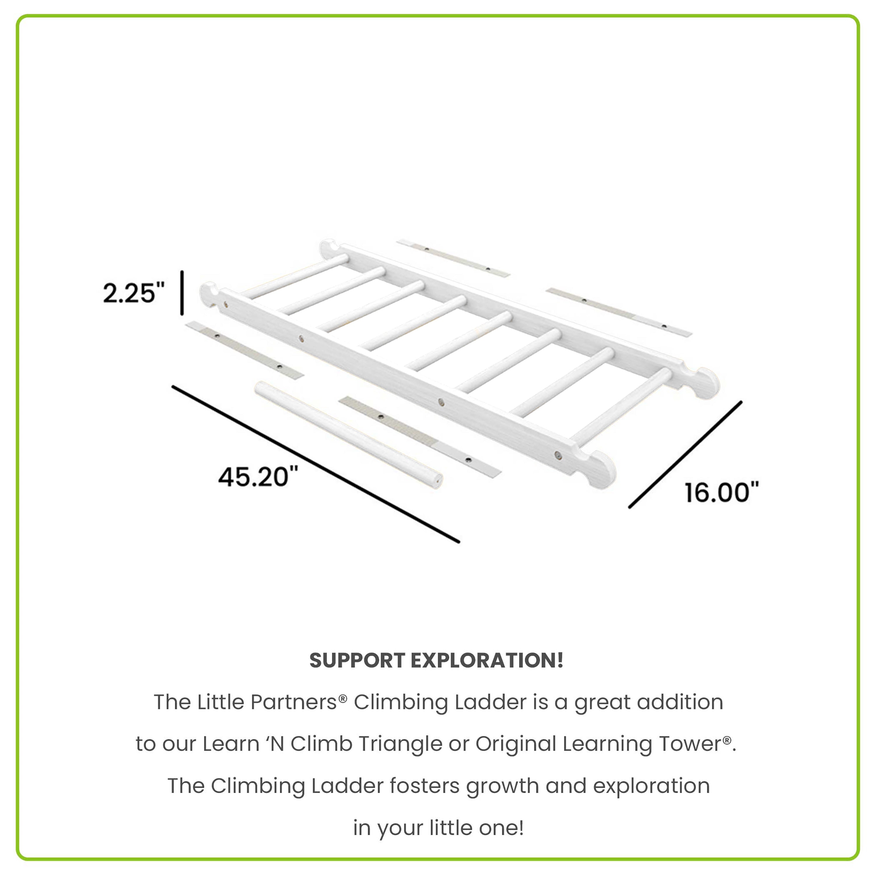 Climbing Ladder