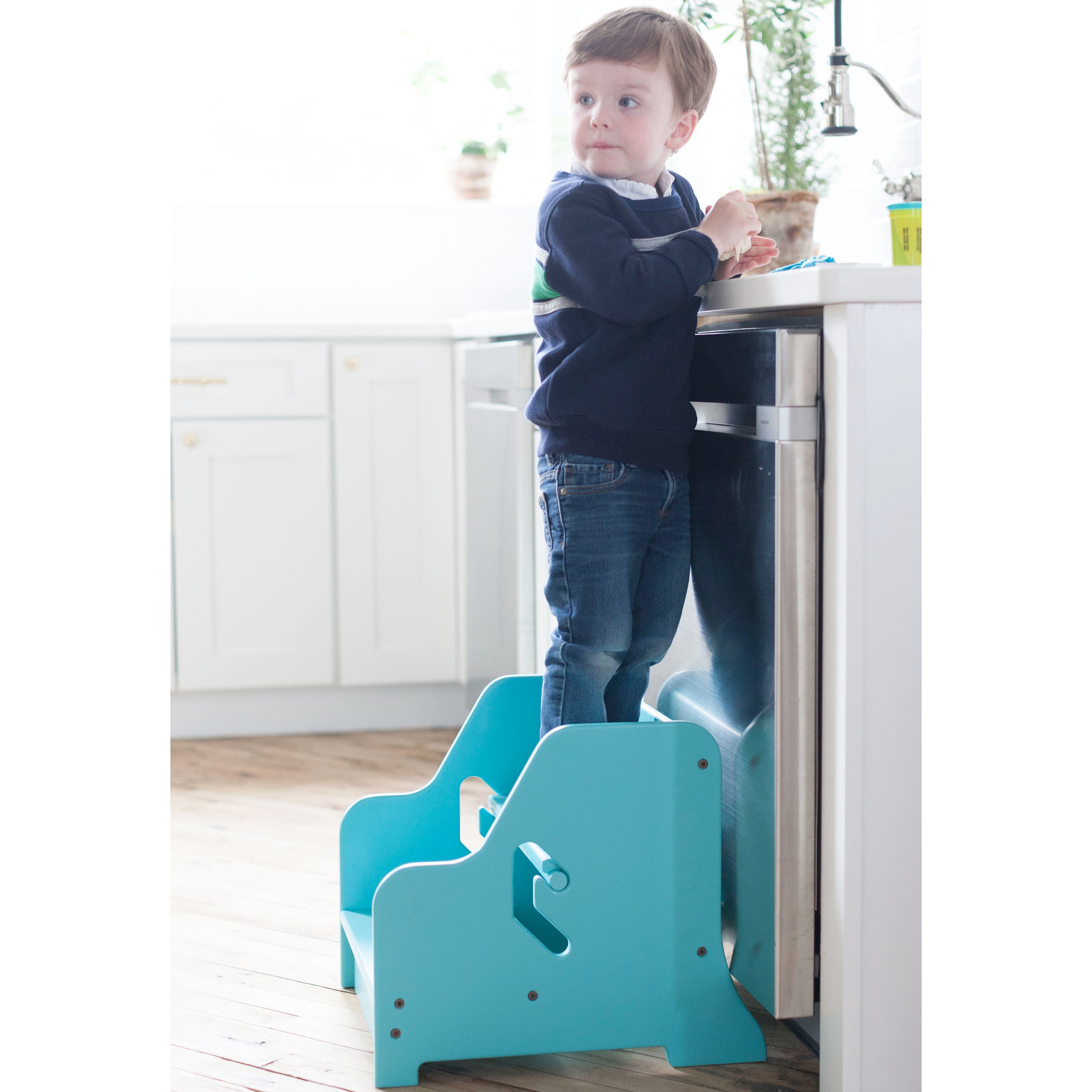 Stepup Step Stool