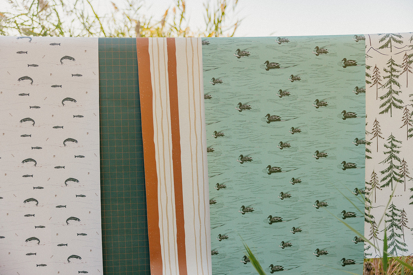 Mallard Wallpaper By Cassandra Zaniboni