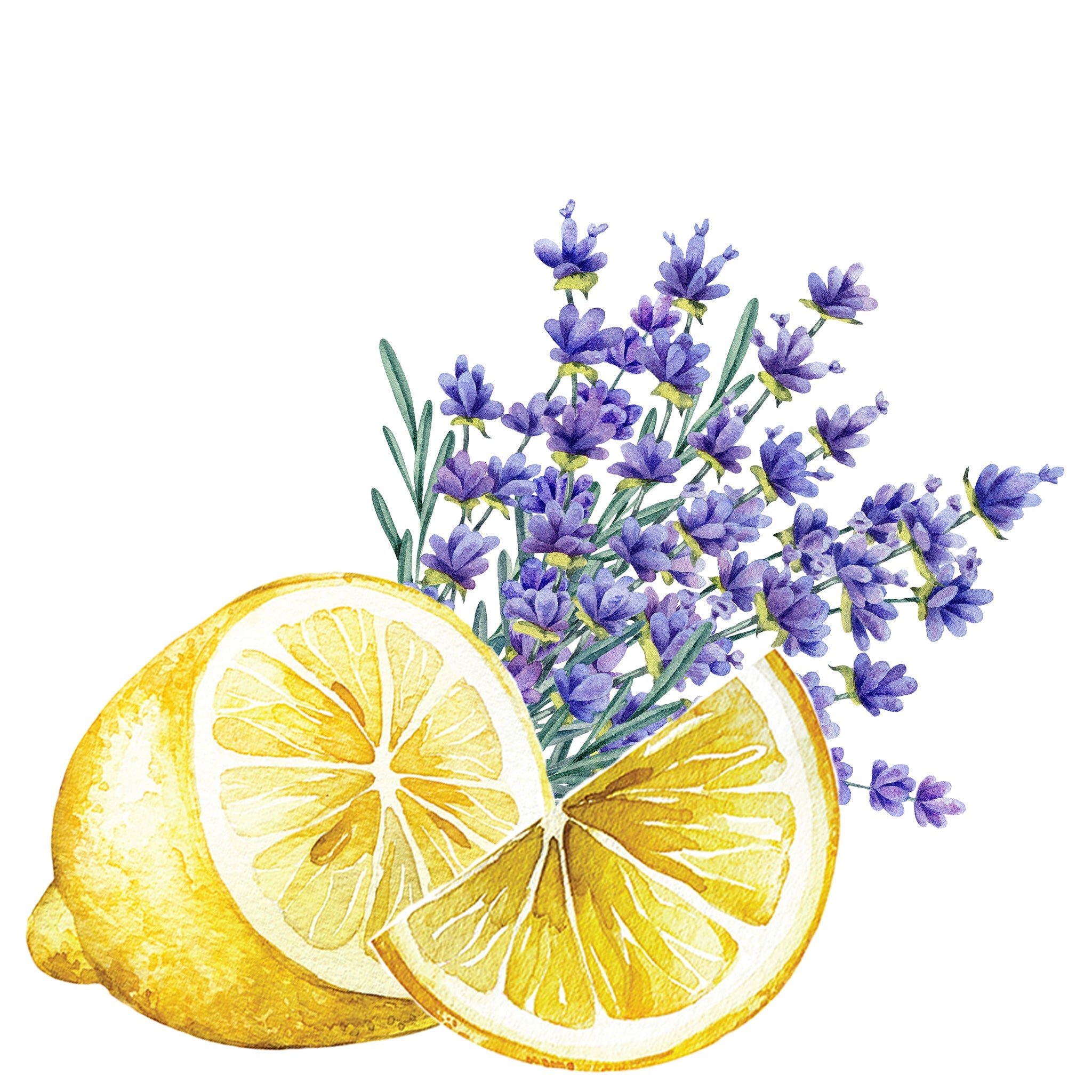 Floor Cleaner Concentrate | Lavender & Lemon