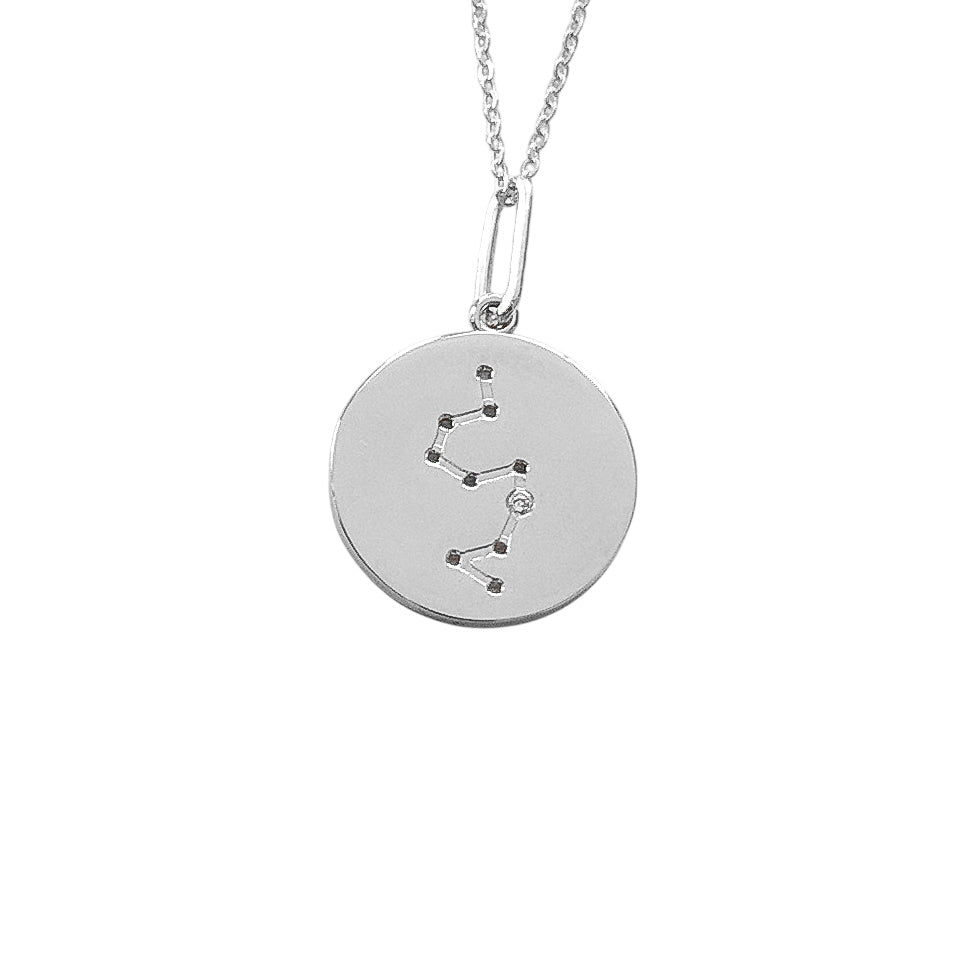 Constellation Charm Necklace