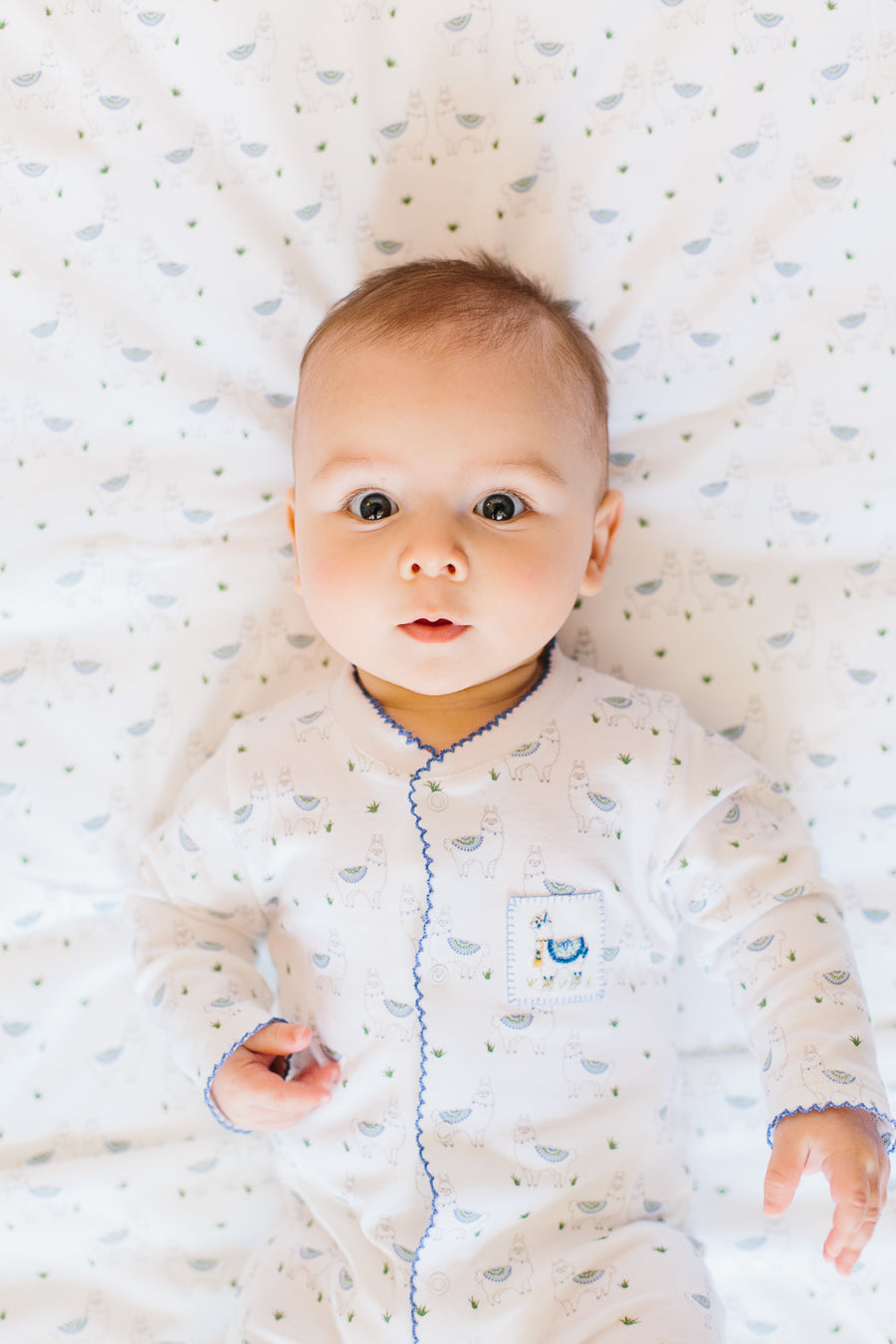 Alex The Alpaca Blue Footie