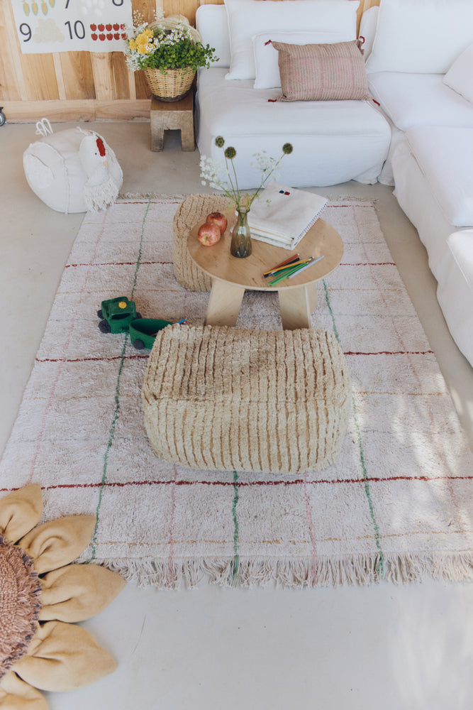 WASHABLE AREA RUG COLOR LINES