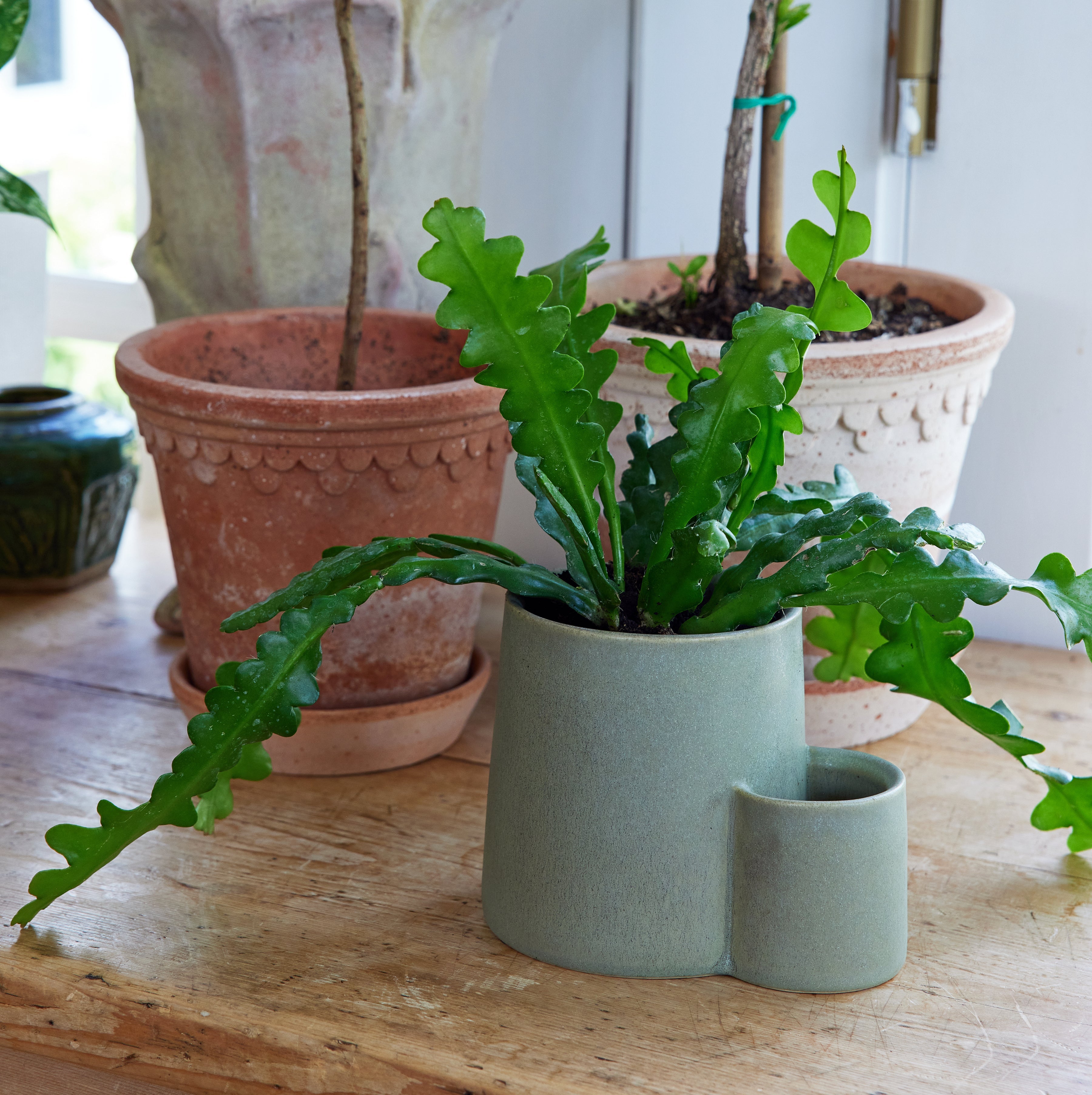 Ember Earth Candle + Planter