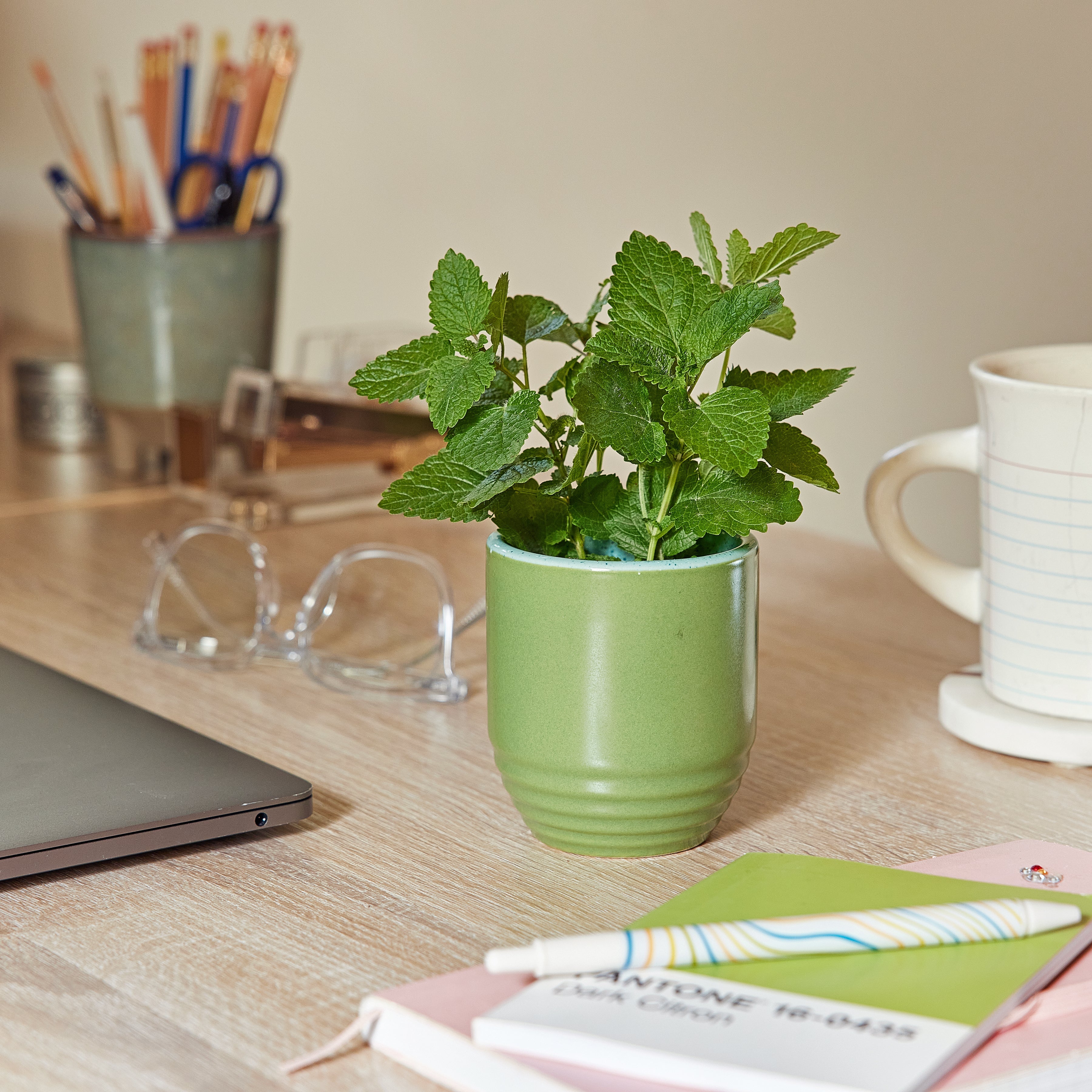 Garden Vibes Candle/planter 2-in-1