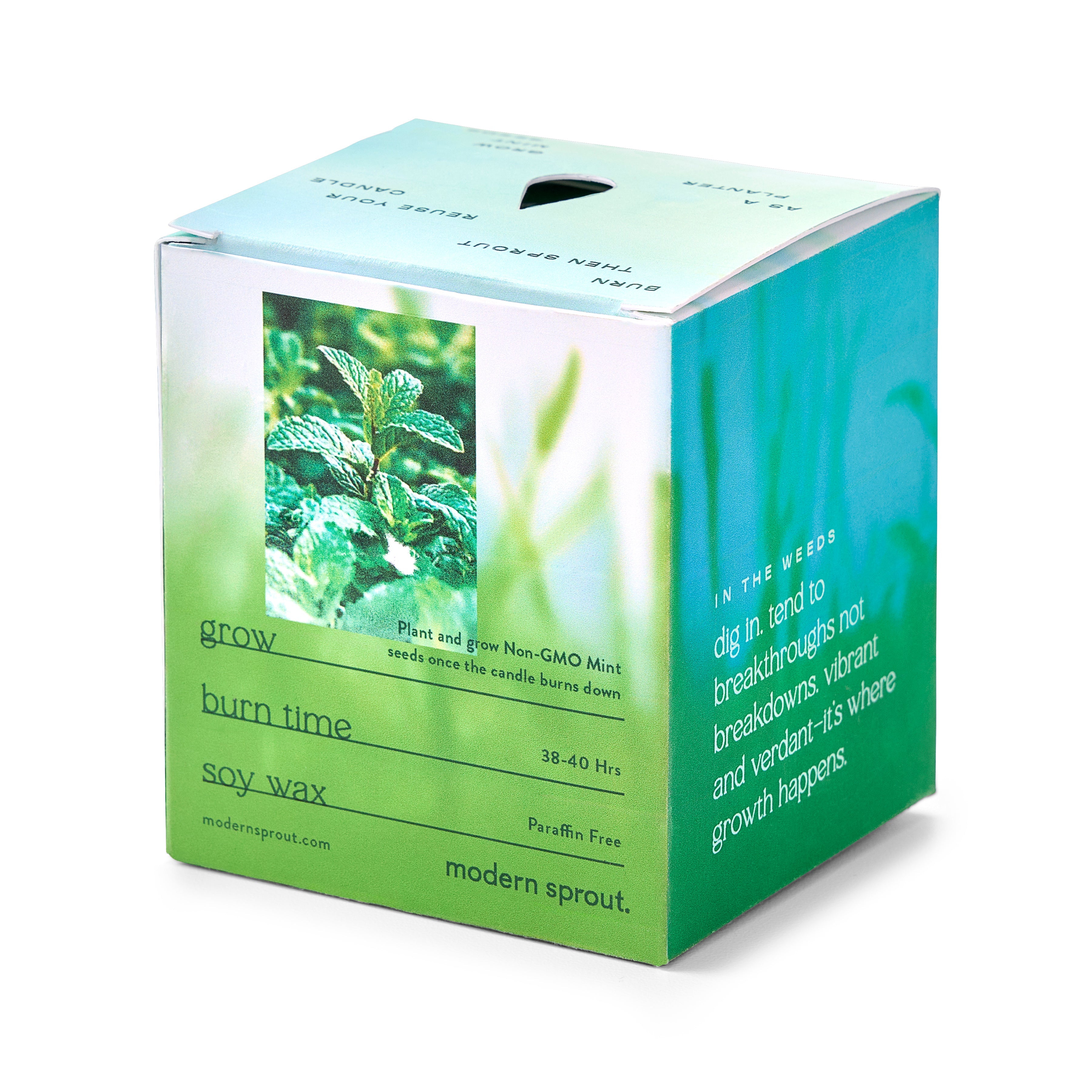 Garden Vibes Candle/planter 2-in-1