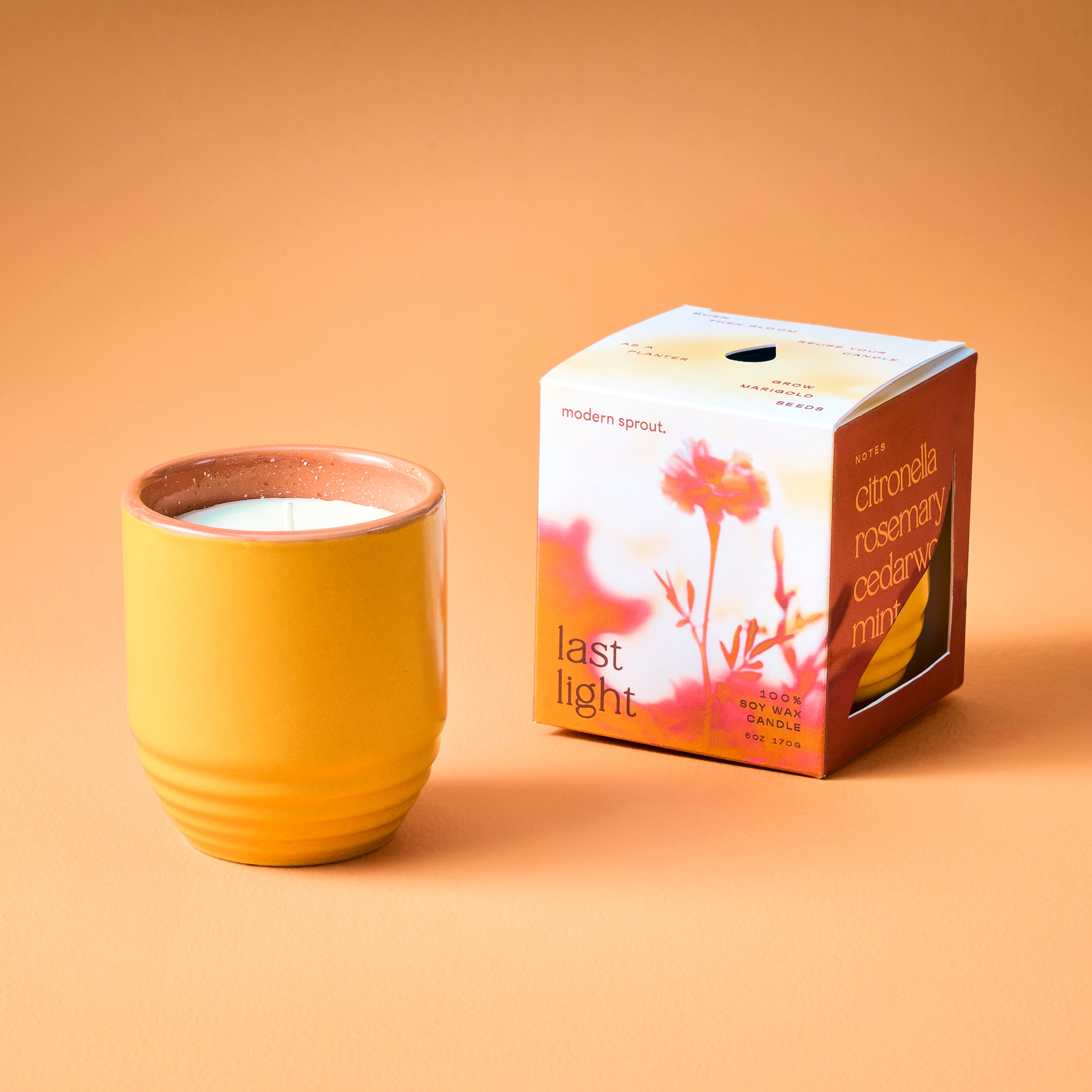 Garden Vibes Candle/planter 2-in-1