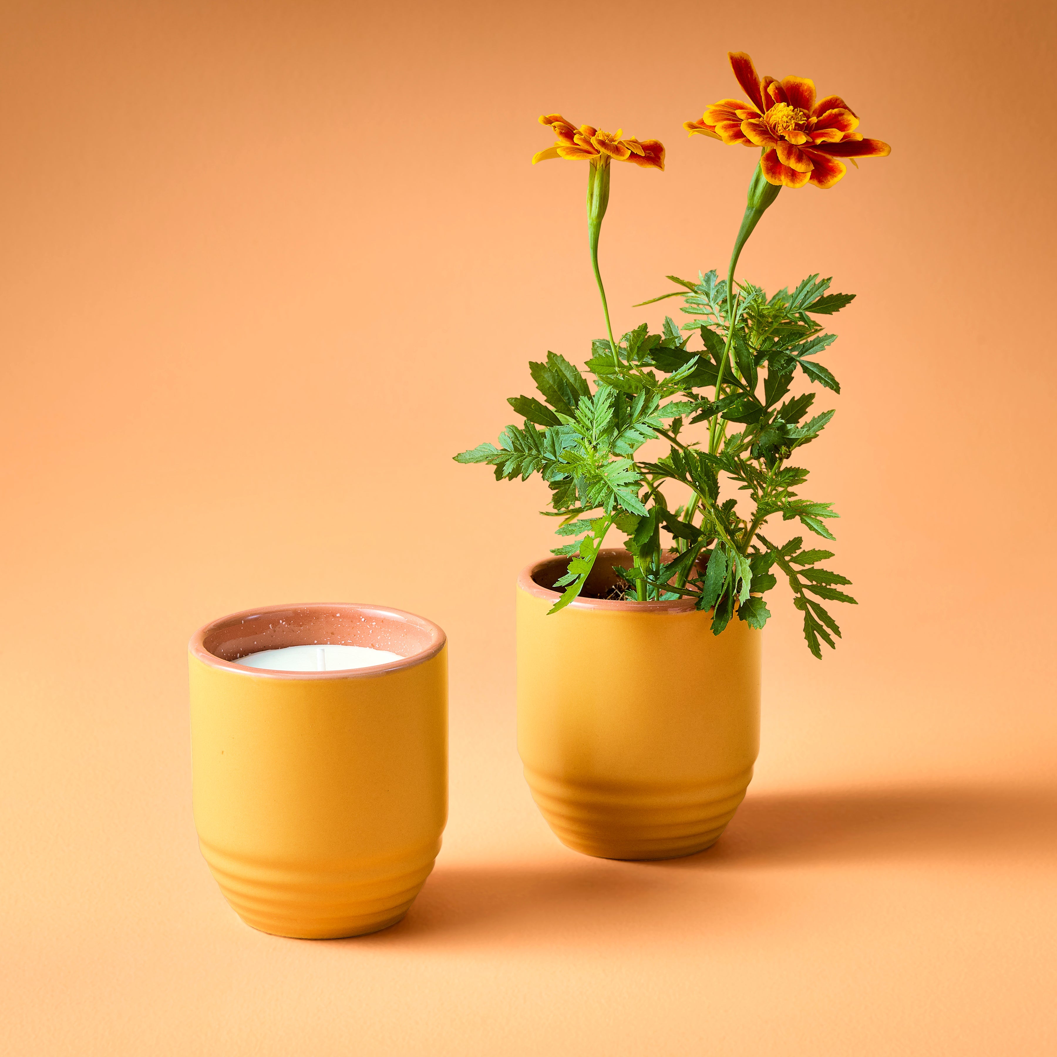 Garden Vibes Candle/planter 2-in-1