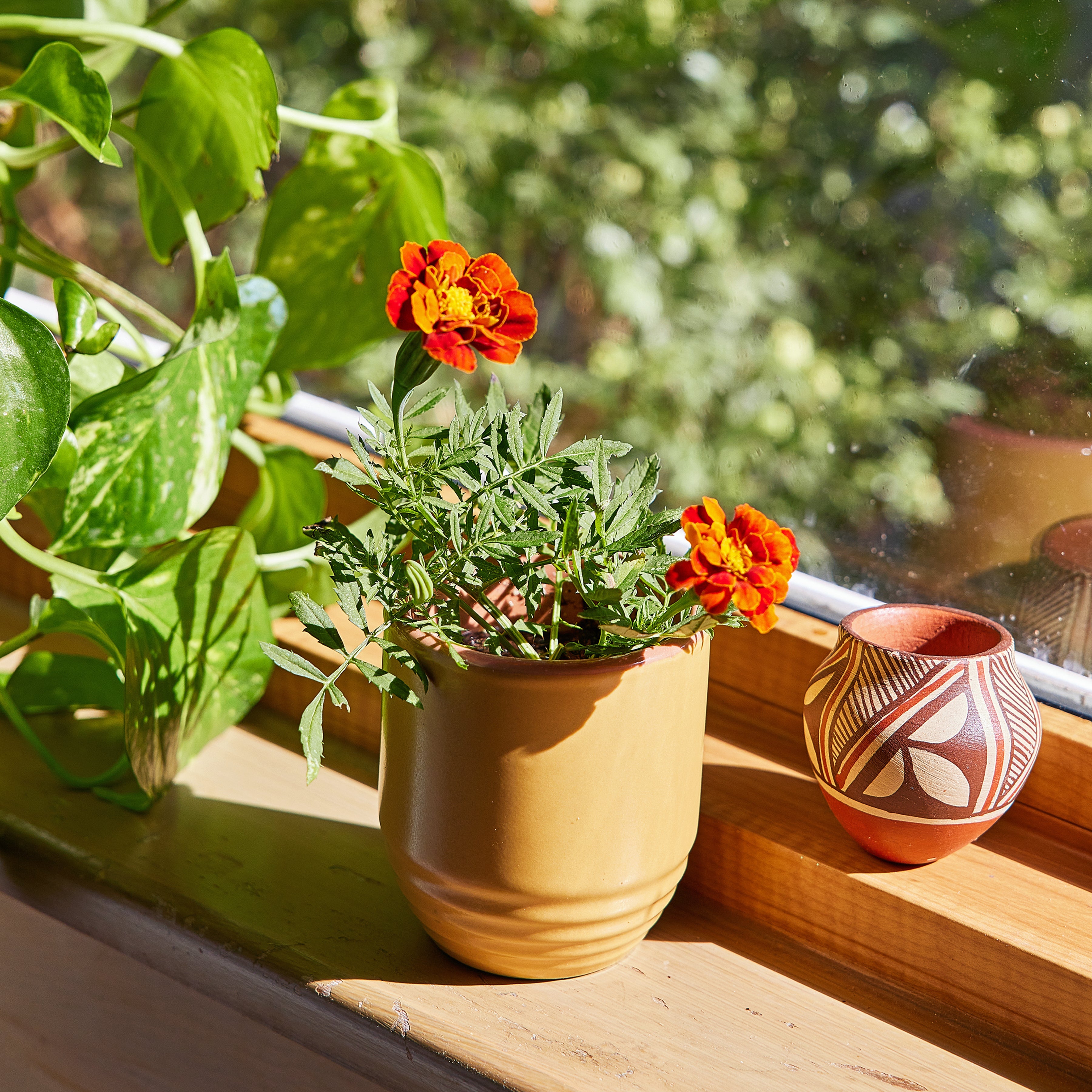 Garden Vibes Candle/planter 2-in-1