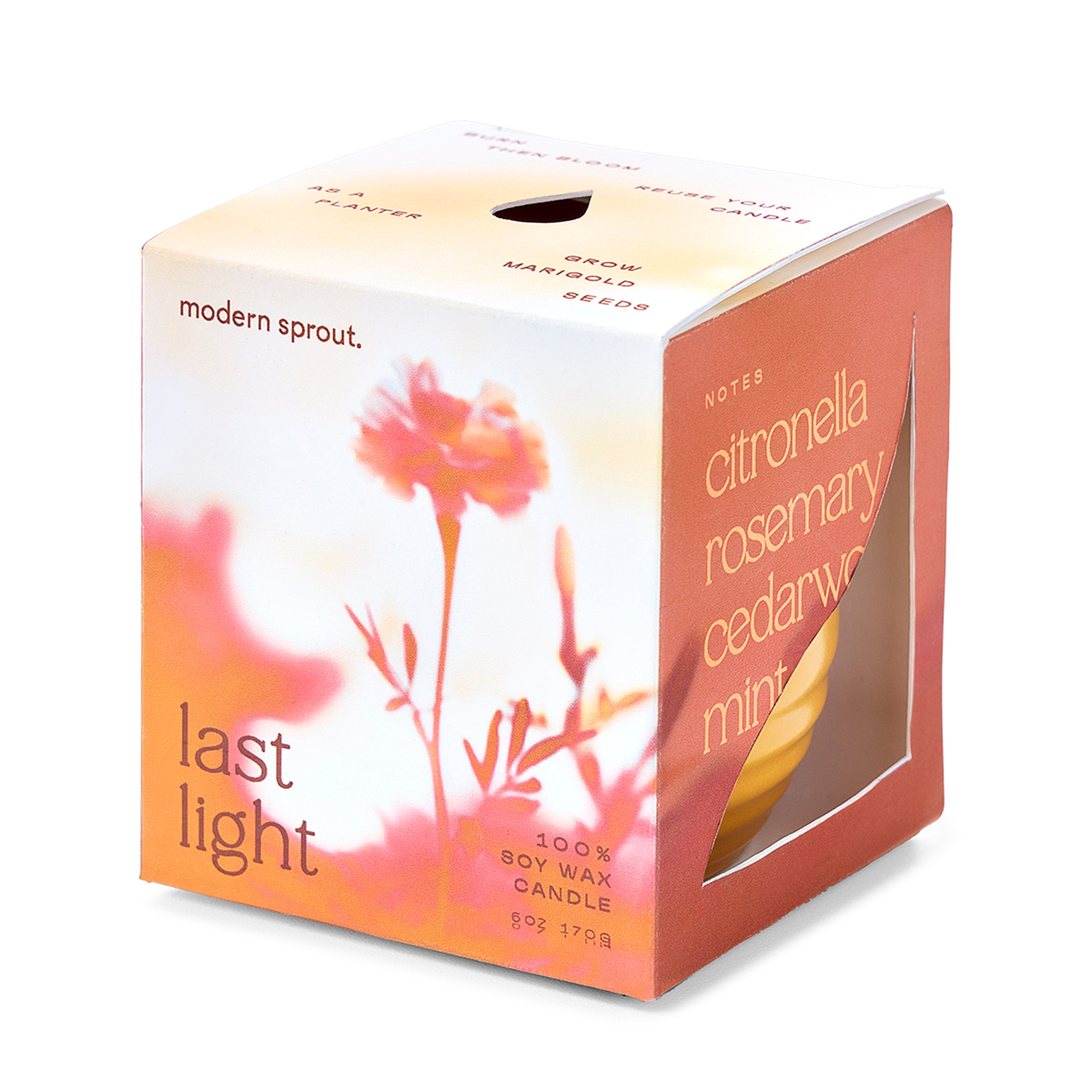 Garden Vibes Candle/planter 2-in-1