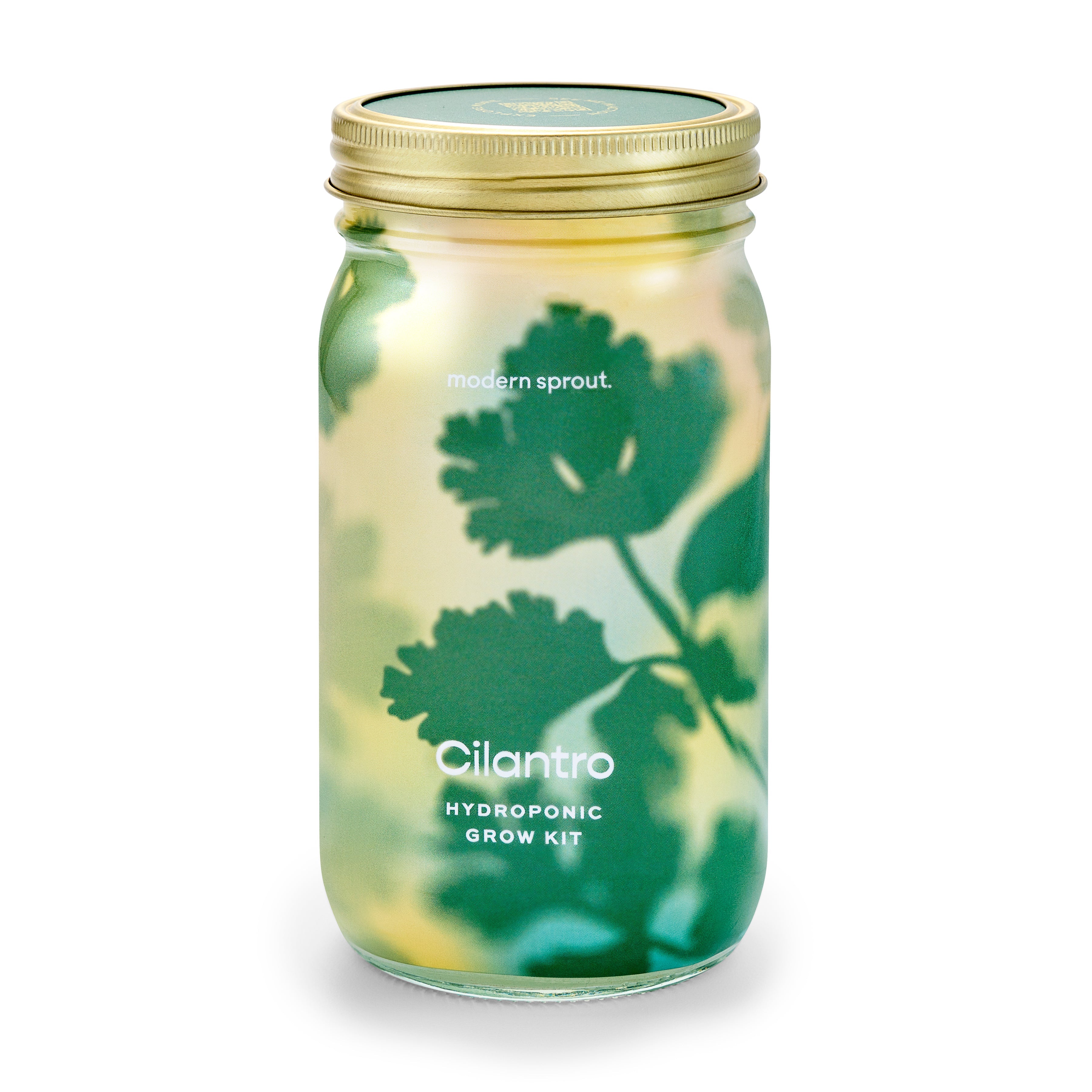 New! Garden Jars - Organic Herbs
