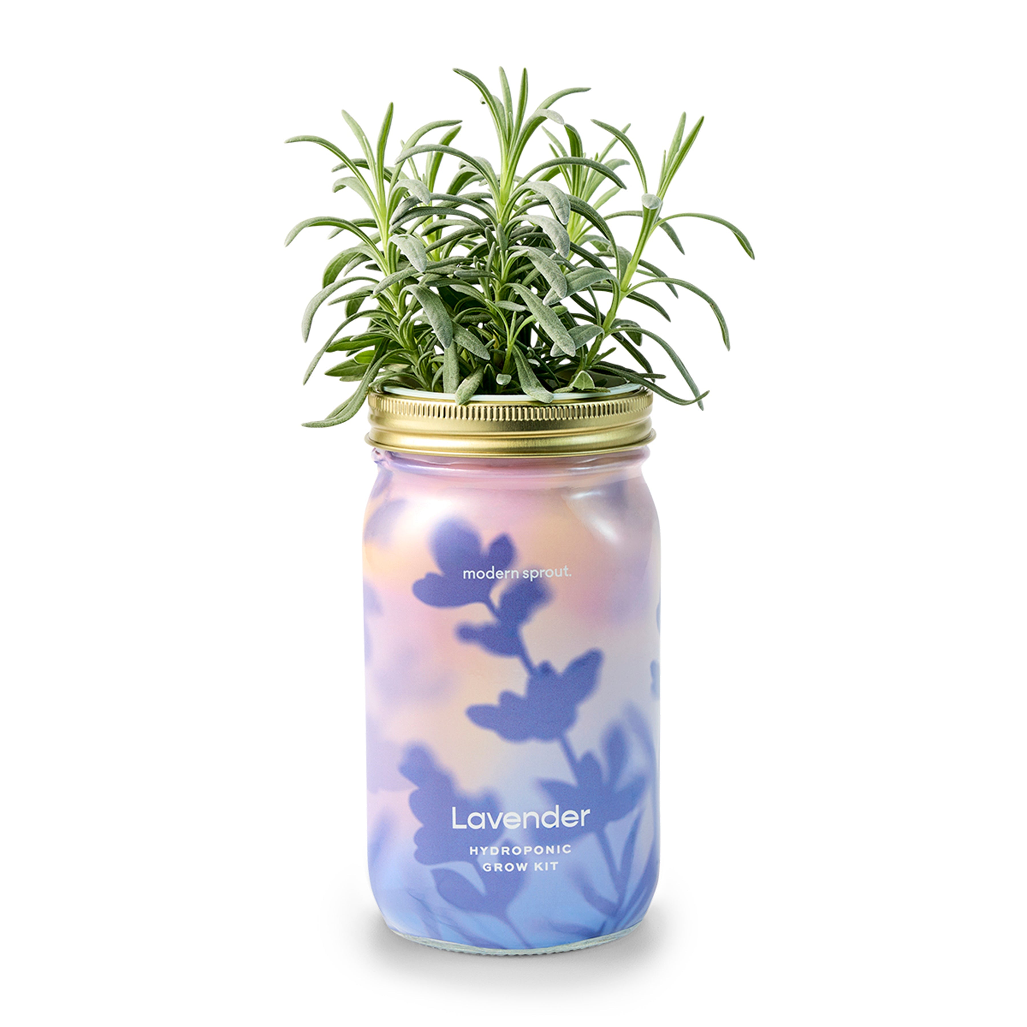 New! Garden Jars - Organic Herbs