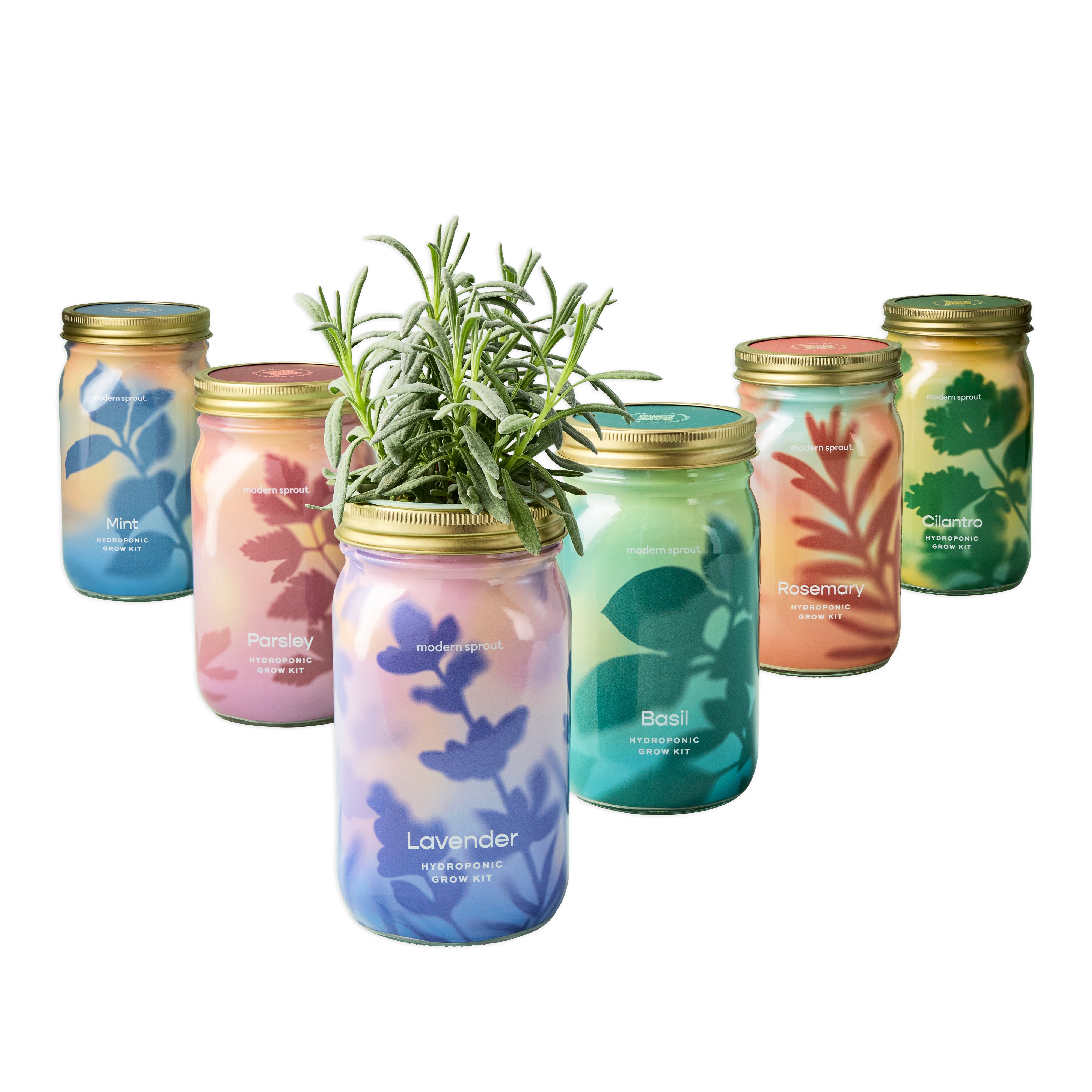 New! Garden Jars - Organic Herbs