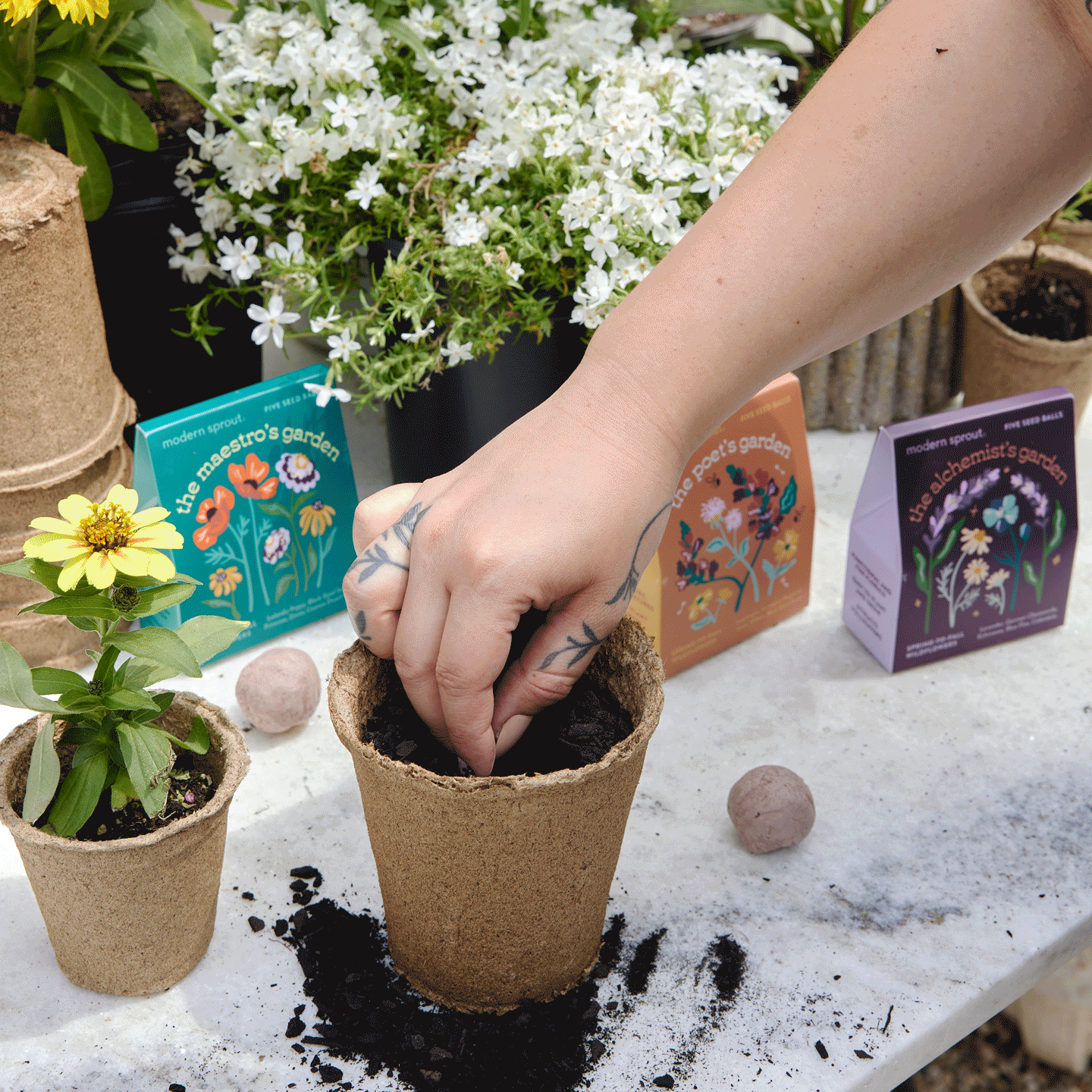 Bespoke Blooms Seed Balls