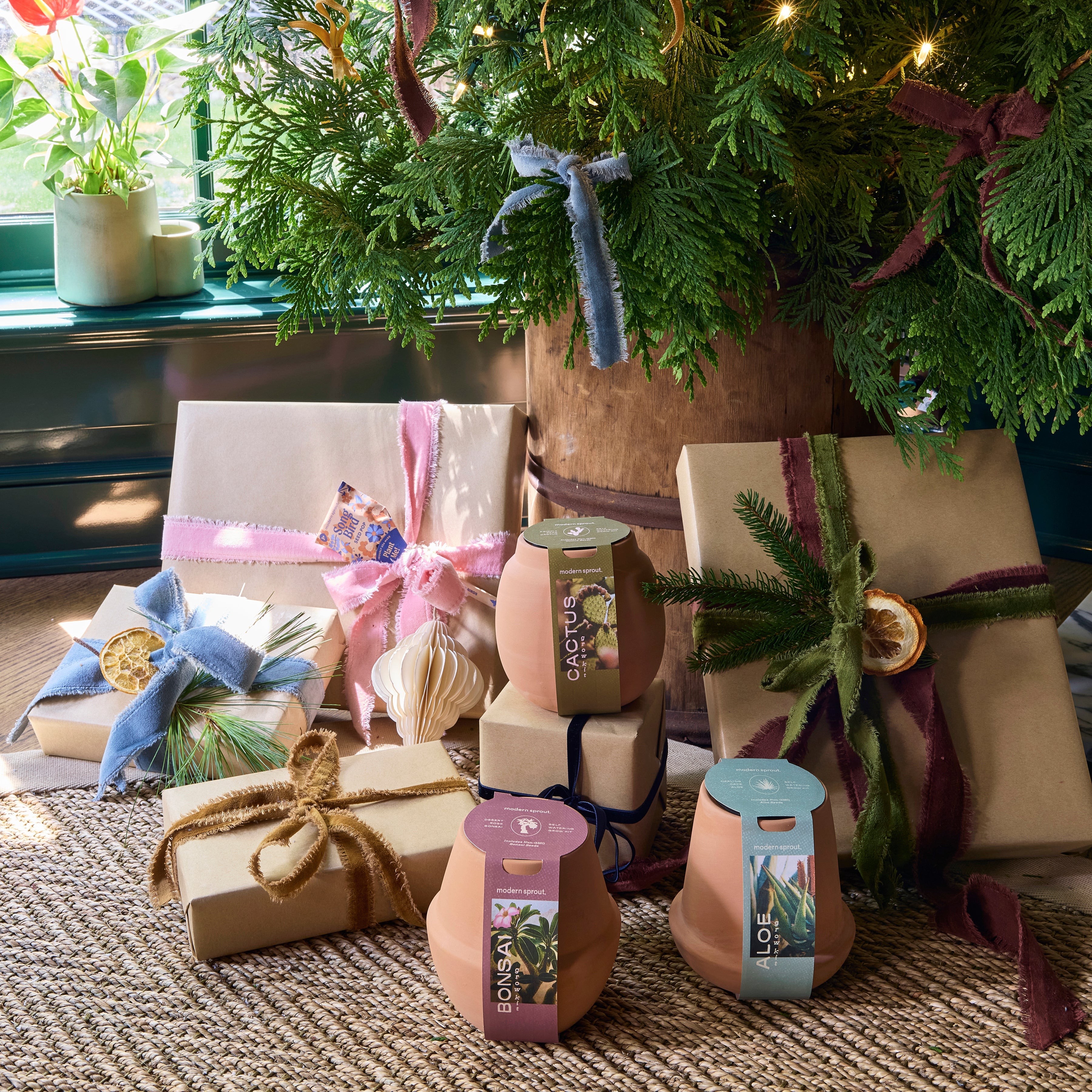 Modern Terracotta Grow Kits