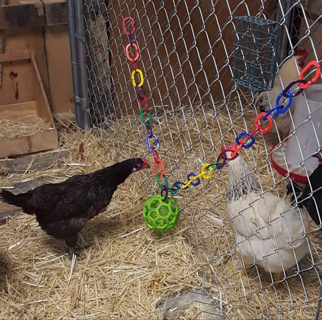 Boomerings Flexible Links