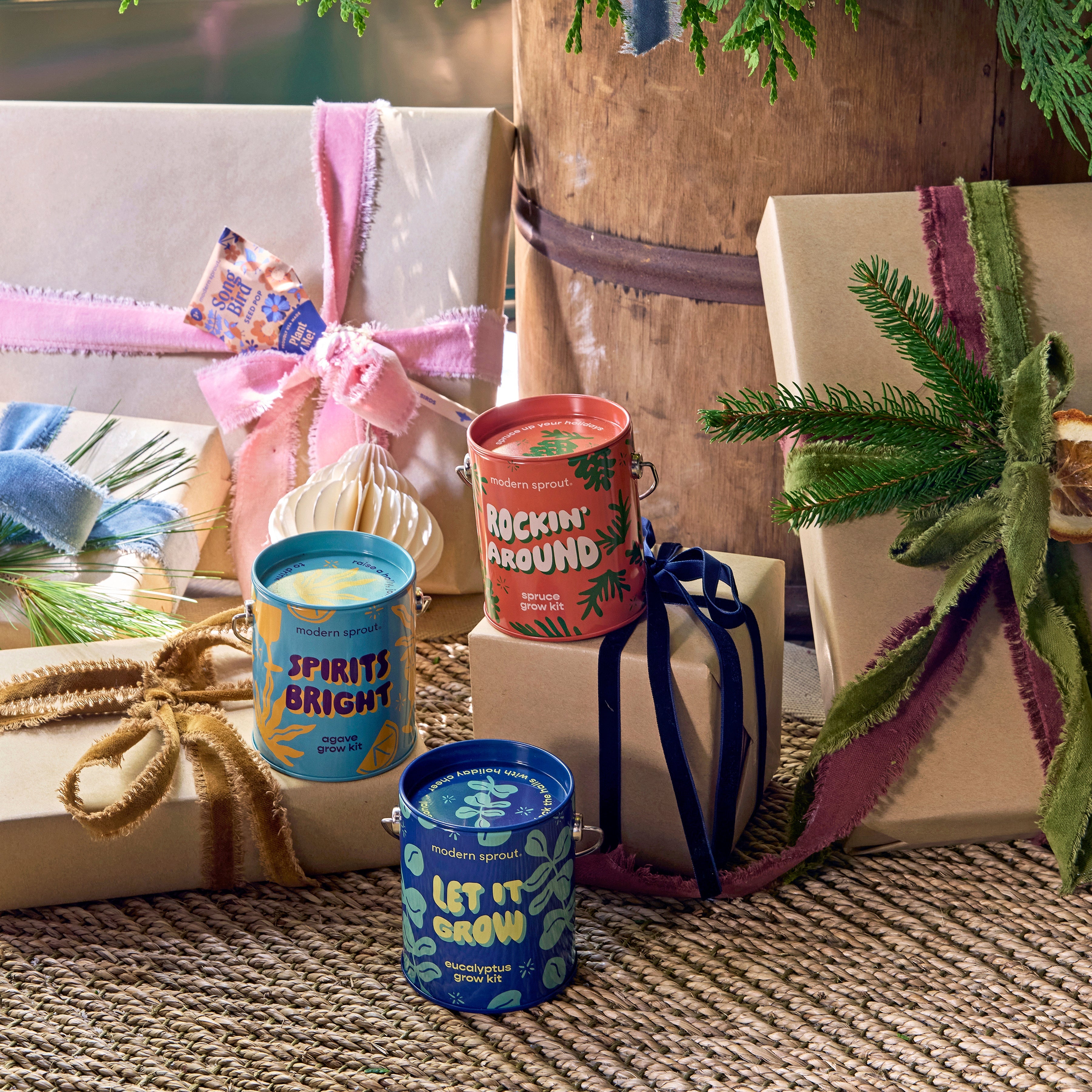 Holiday Complimentary Colors Grow Kits