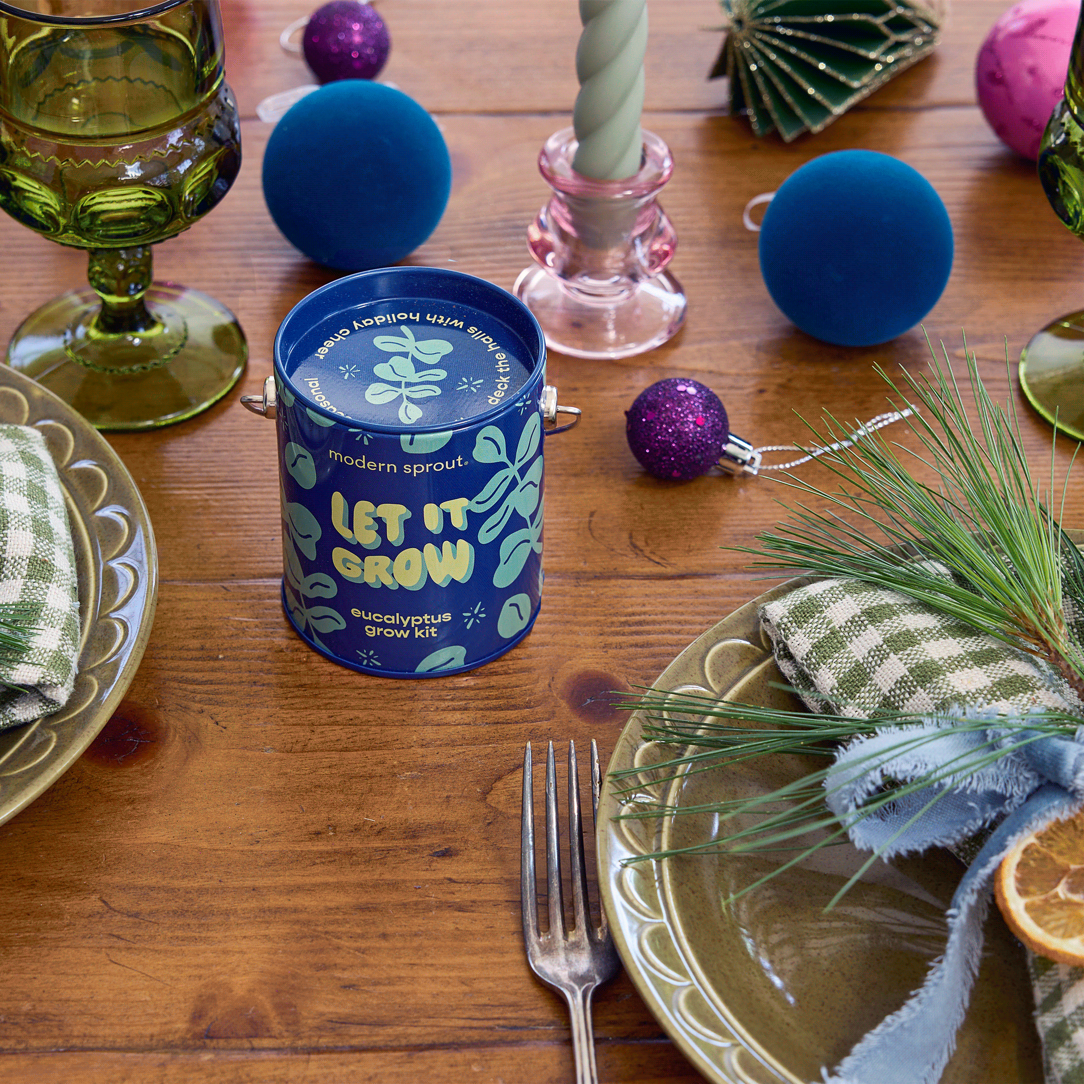 Holiday Complimentary Colors Grow Kits