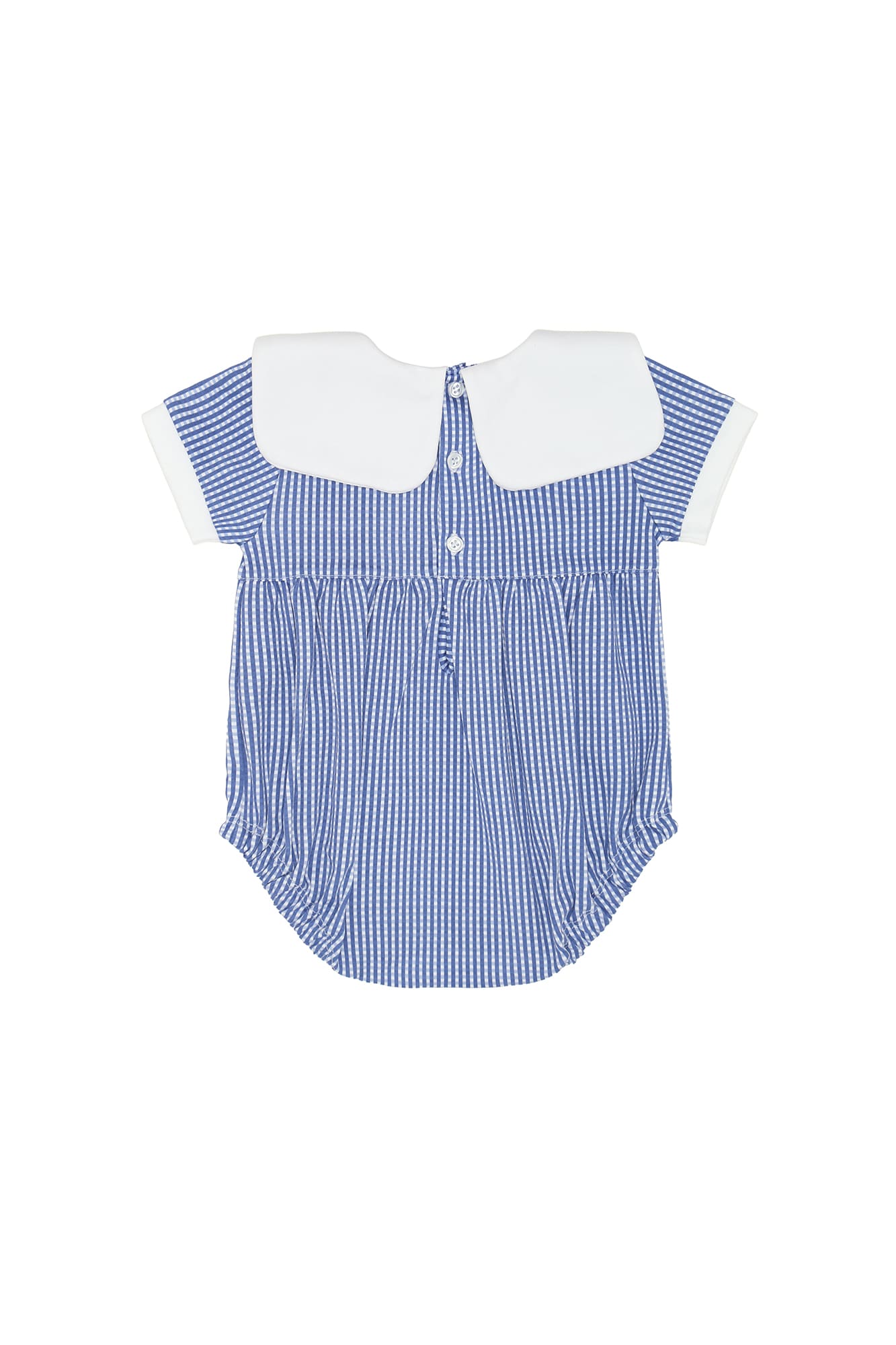 American Pups Square Collared Bubble