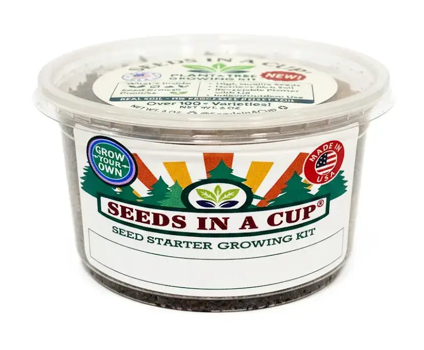 Caraway | Plant Seed Starter Grow Kit |