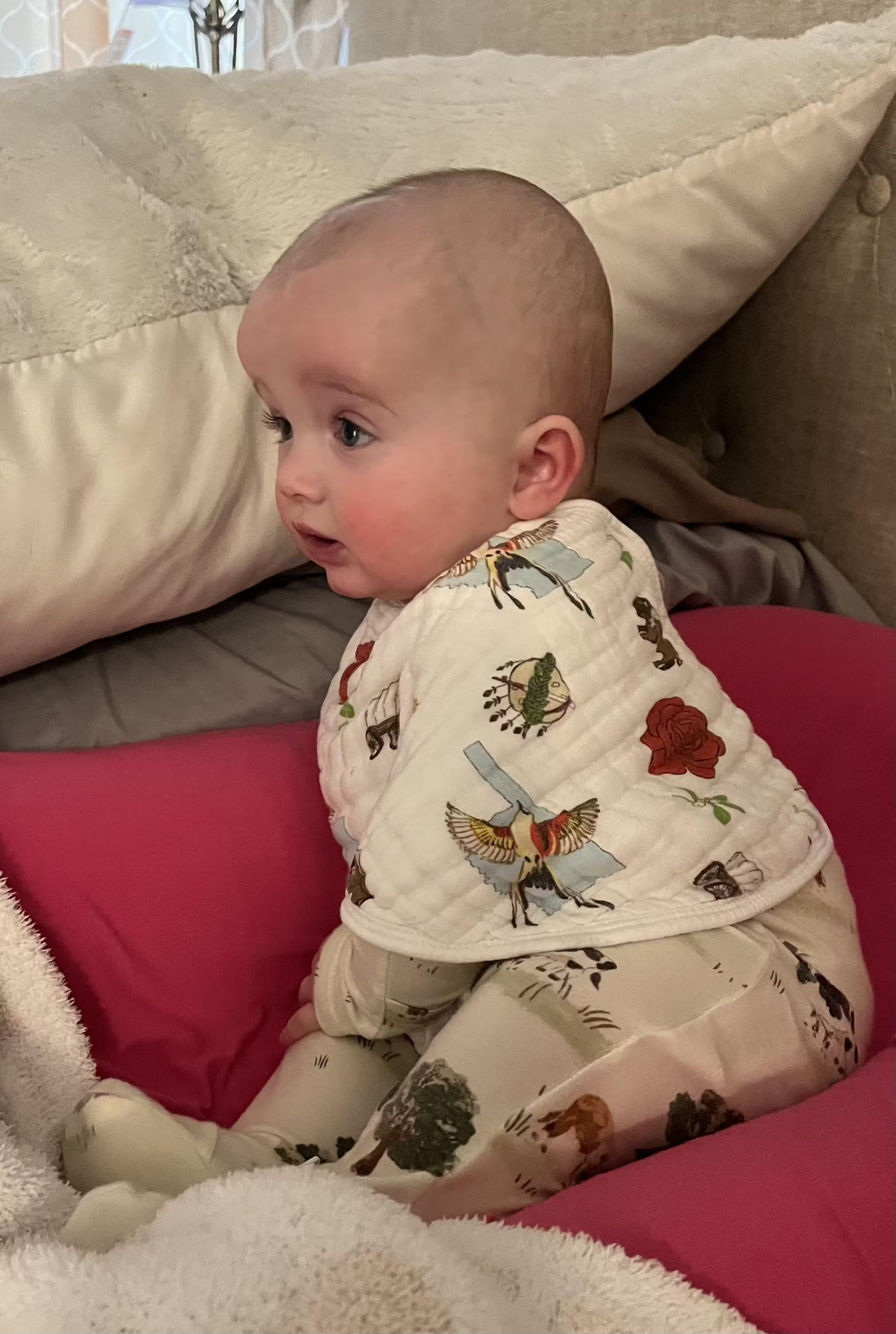 Gift Set: Oklahoma Swaddle Blanket And Burp Cloth/bib Combo