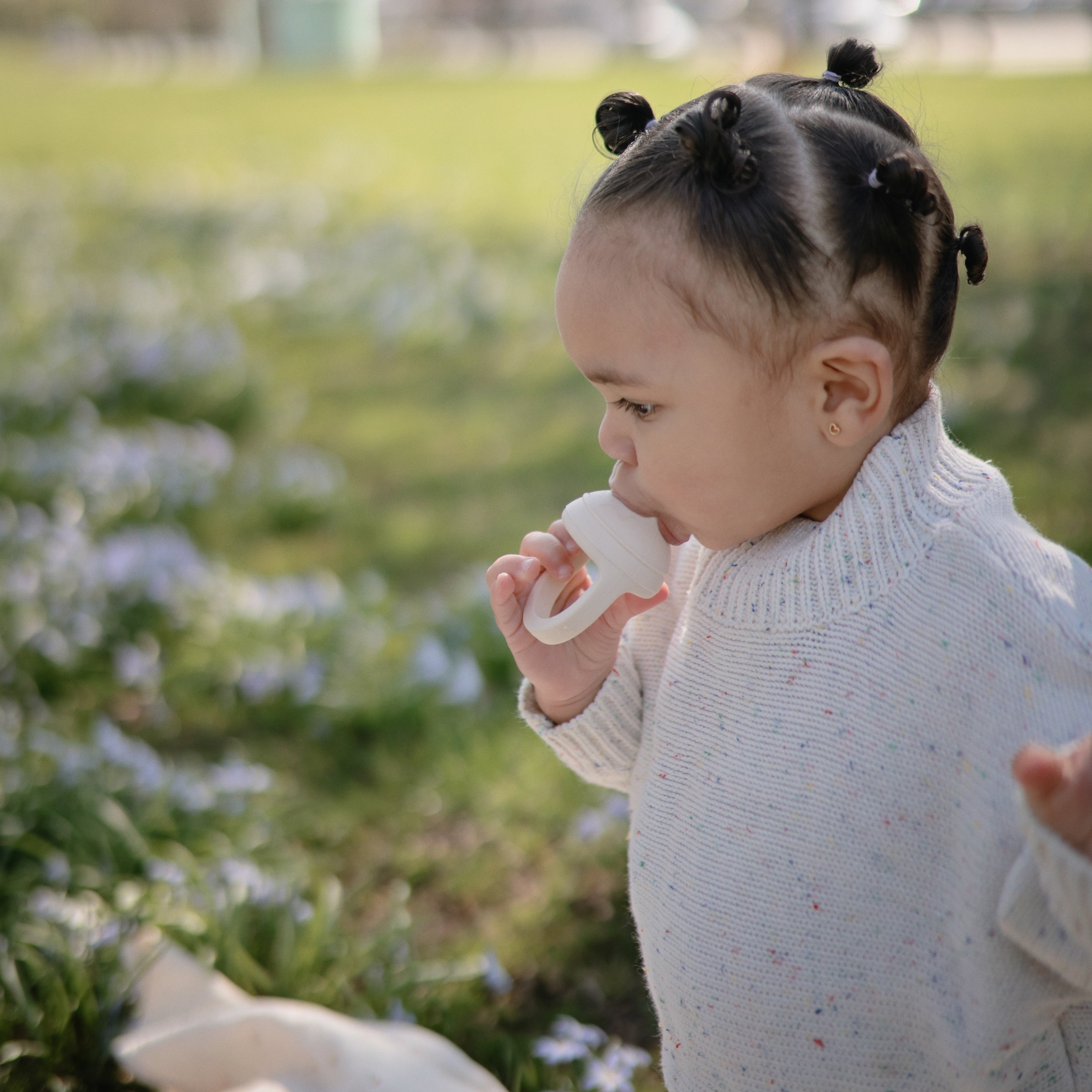 Silicone Fresh Food Feeder 2-pack