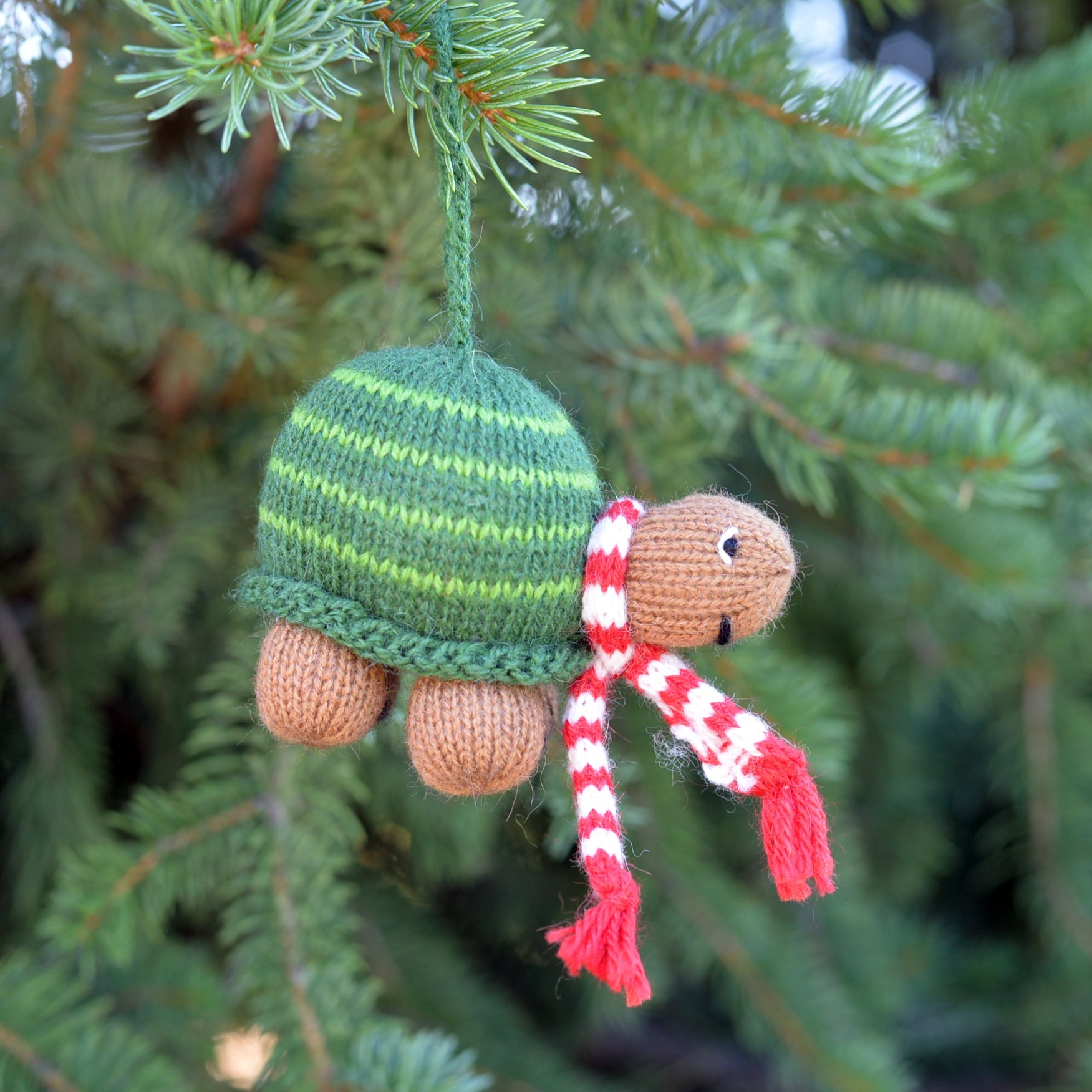 Turtle Ornament- Set Of 2