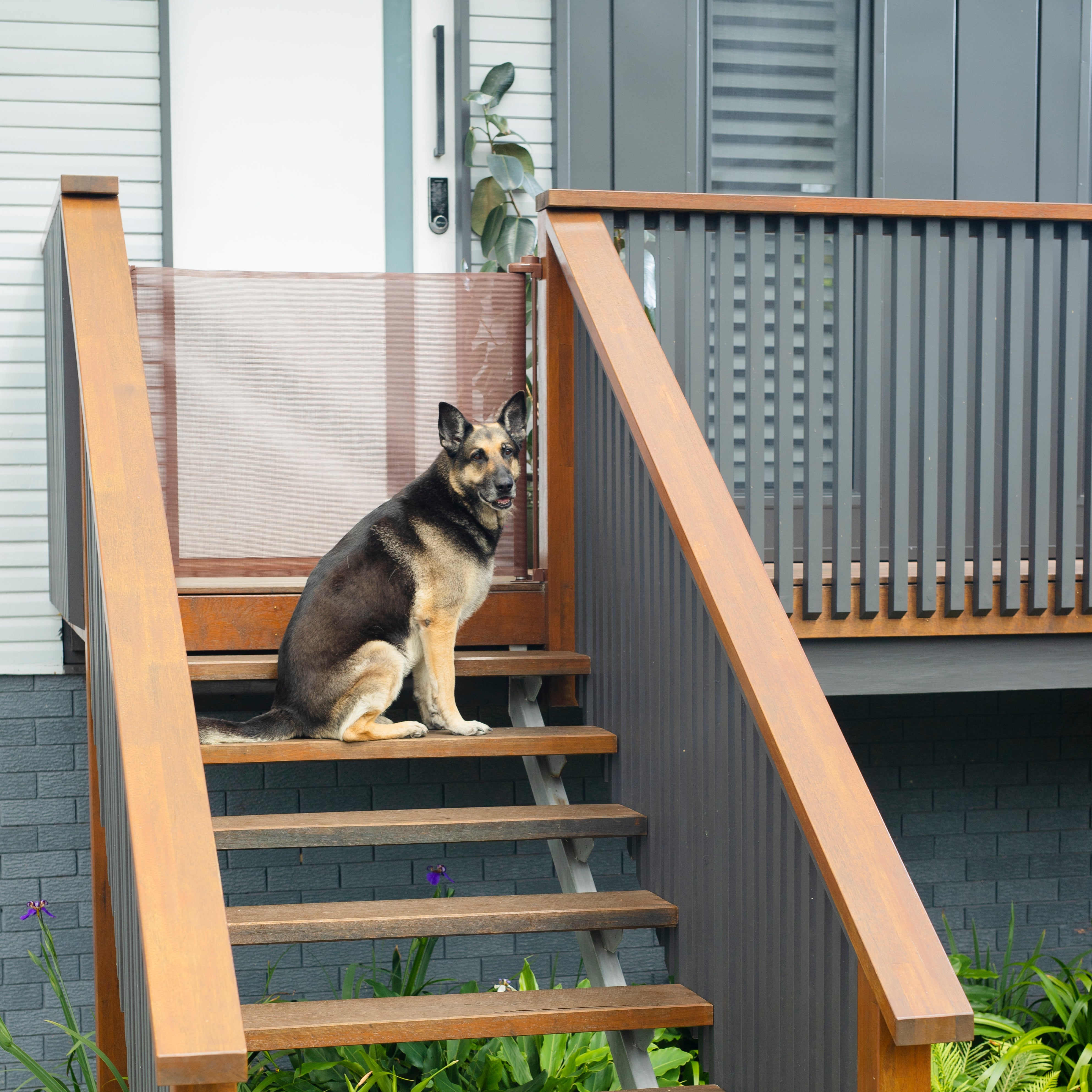 Retractable Baby Gate | 71" W X 33" H | Refurb | No Returns