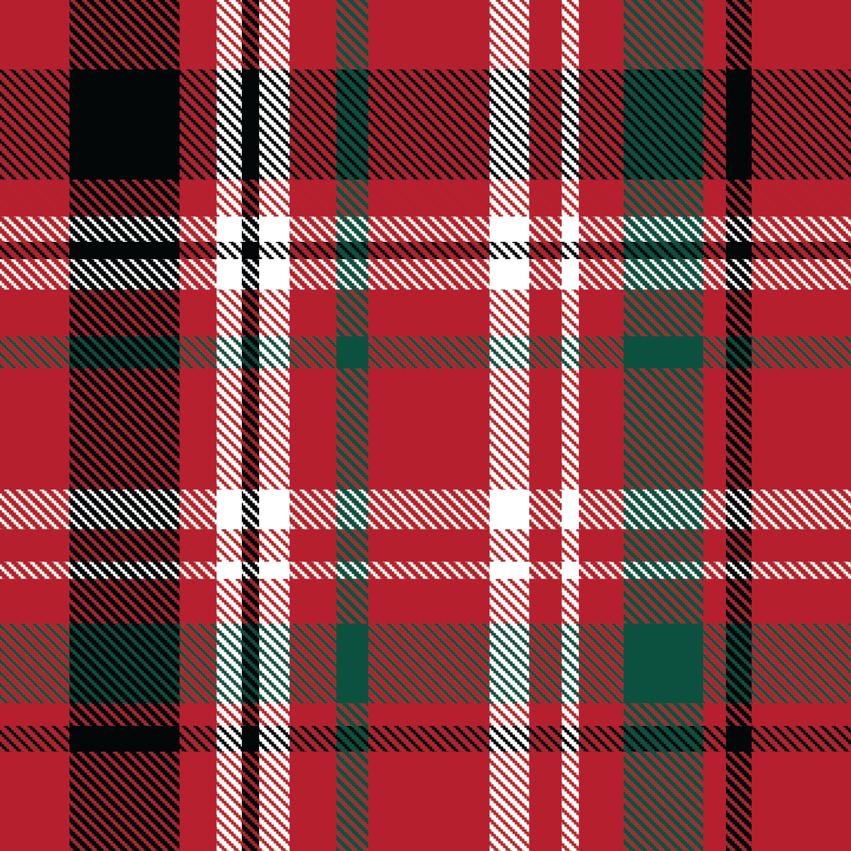 Red Plaid Family Pajamas