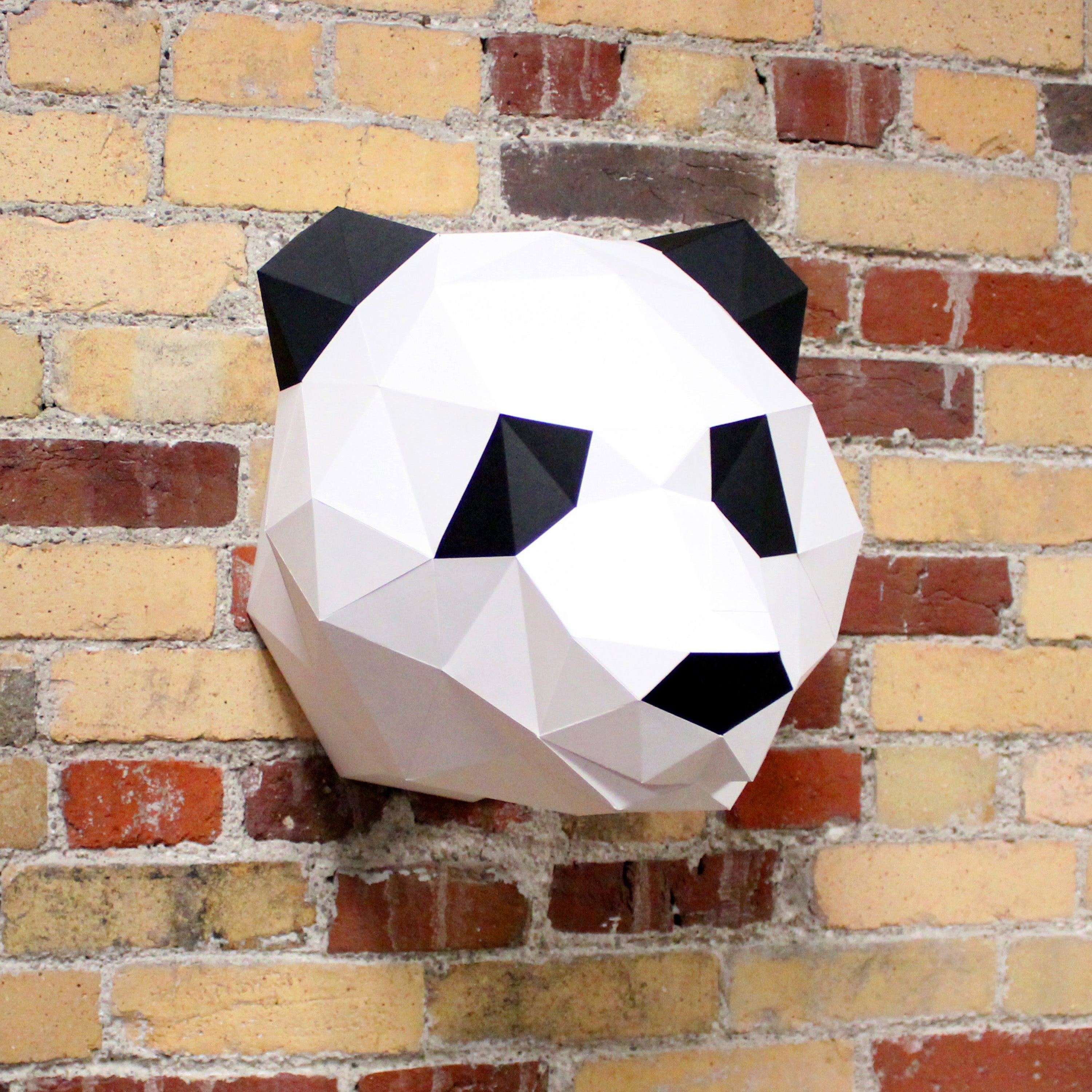Claire The Panda | Diy Paper Craft Animal Kit