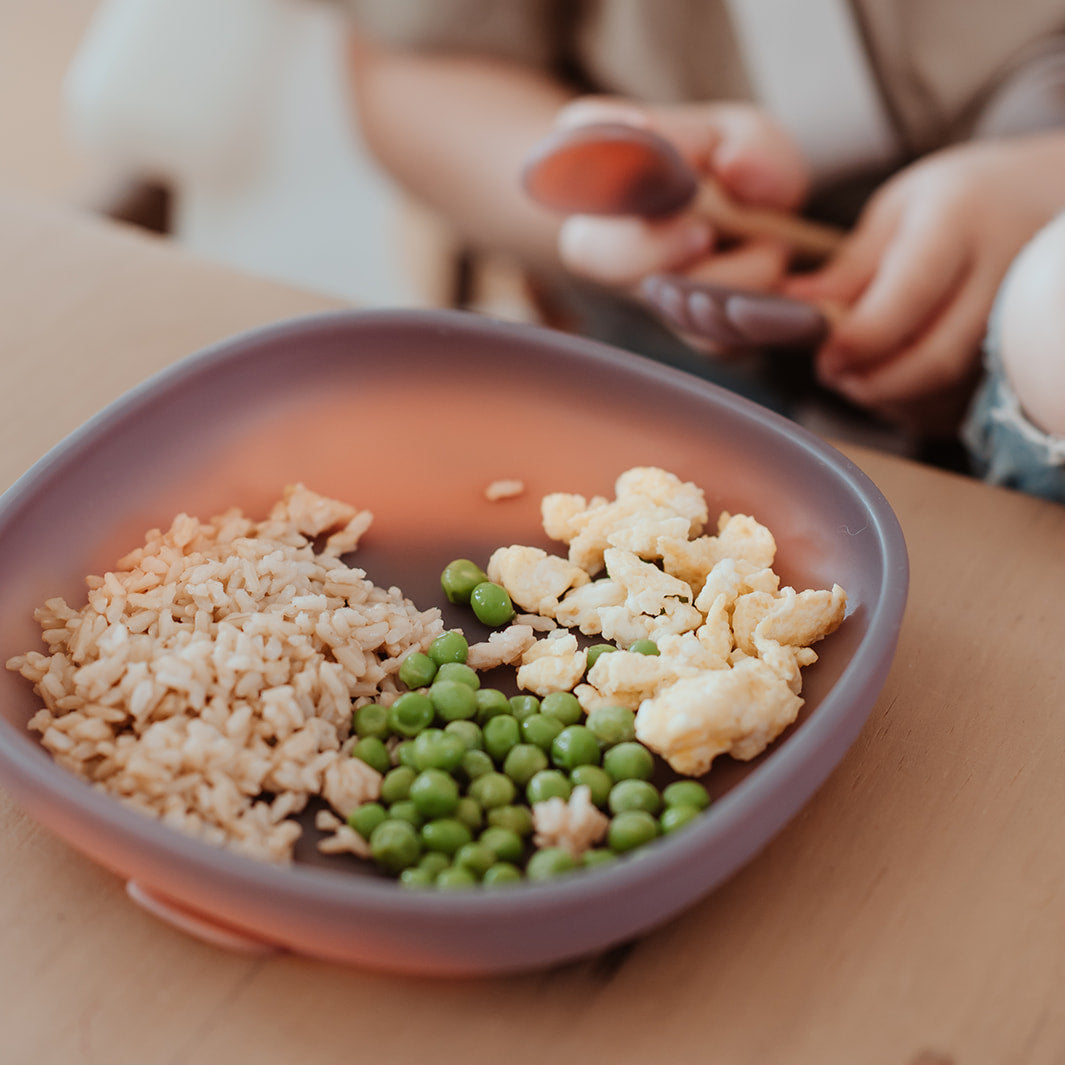 Color Changing Suction Plate