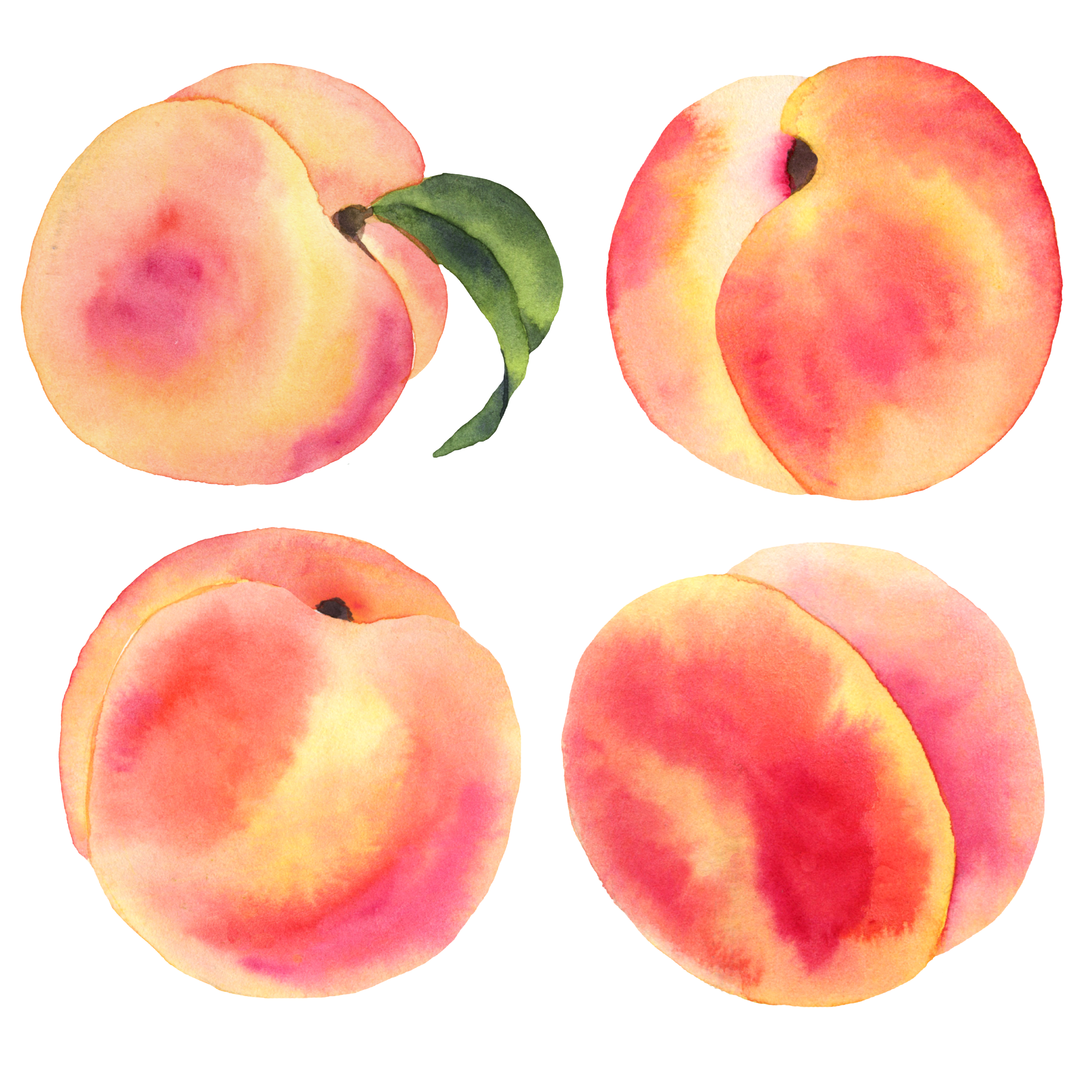 Watercolor Peaches And Leaves