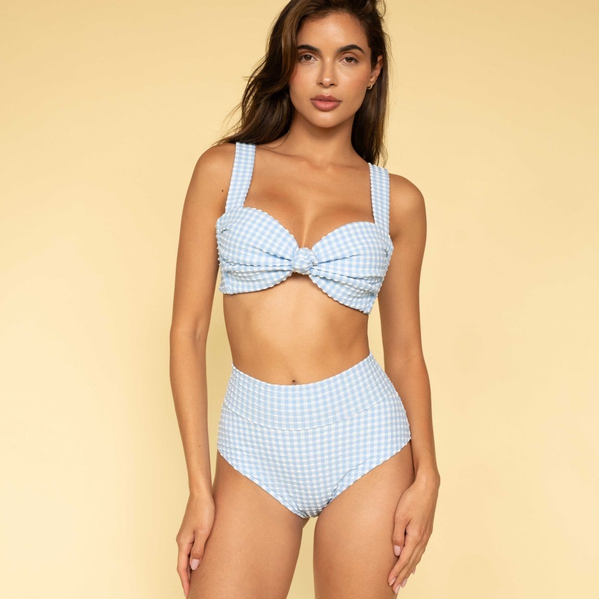 Peri Micro Gingham Hayden Bikini Top