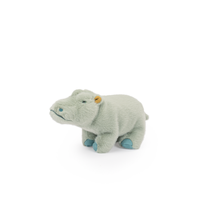 Small Hippopotamus - All Around The World