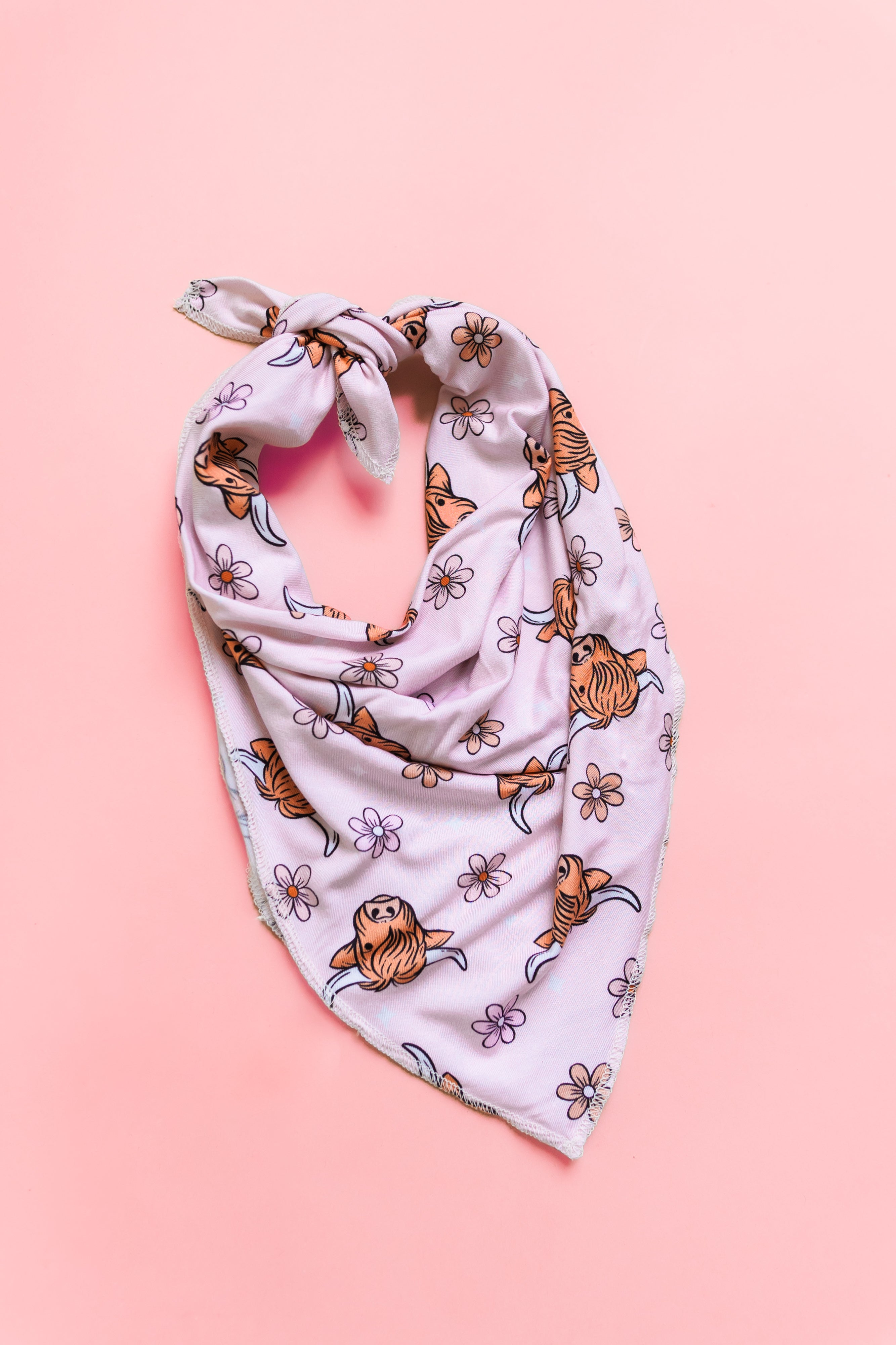 Exclusive Highland Cutie Dream Dog Bandana