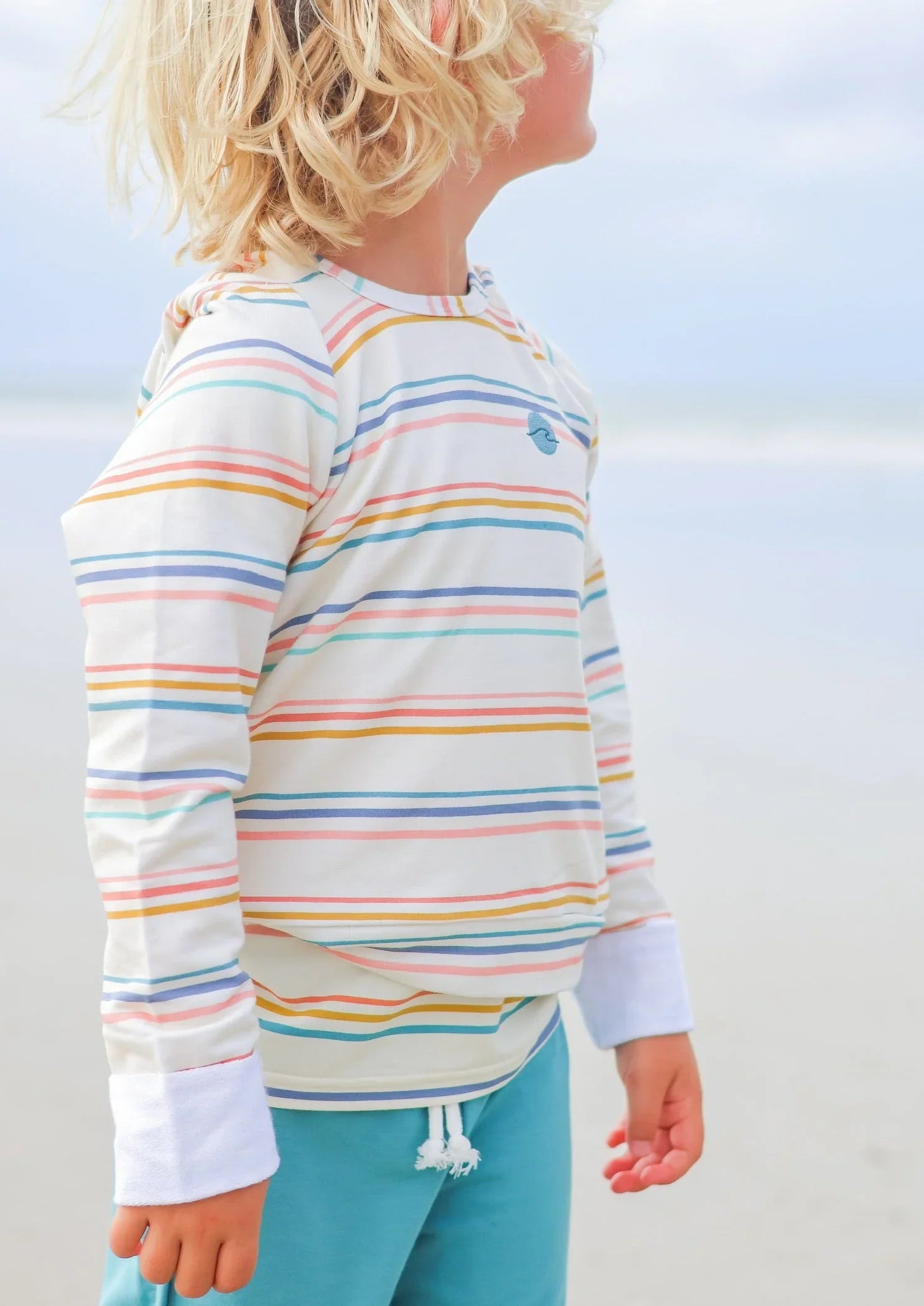 Coastal Stripe Hoodie