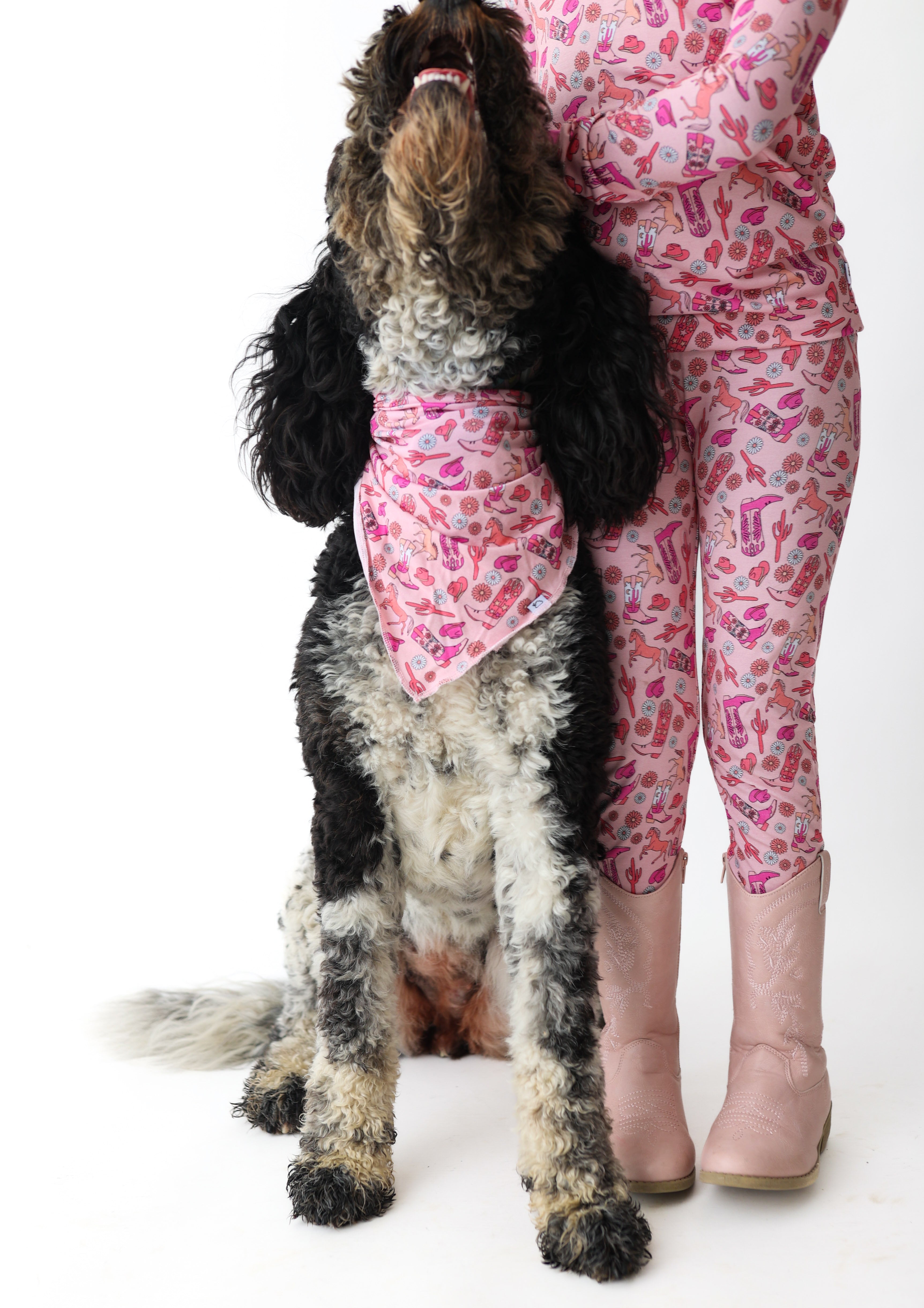 Stay Wild Cowgirl Dream Dog Bandana