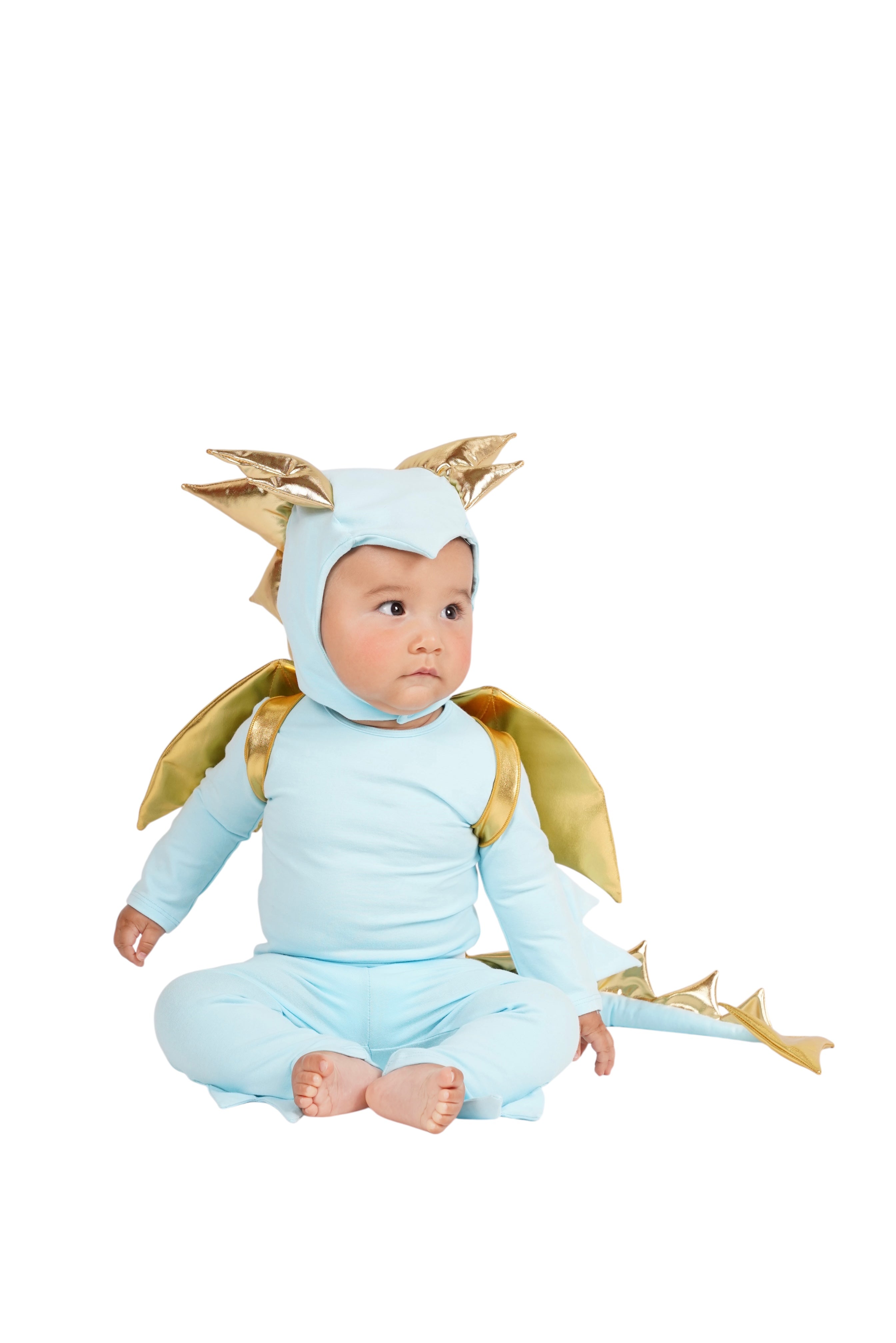Sky Blue Dragon Costume