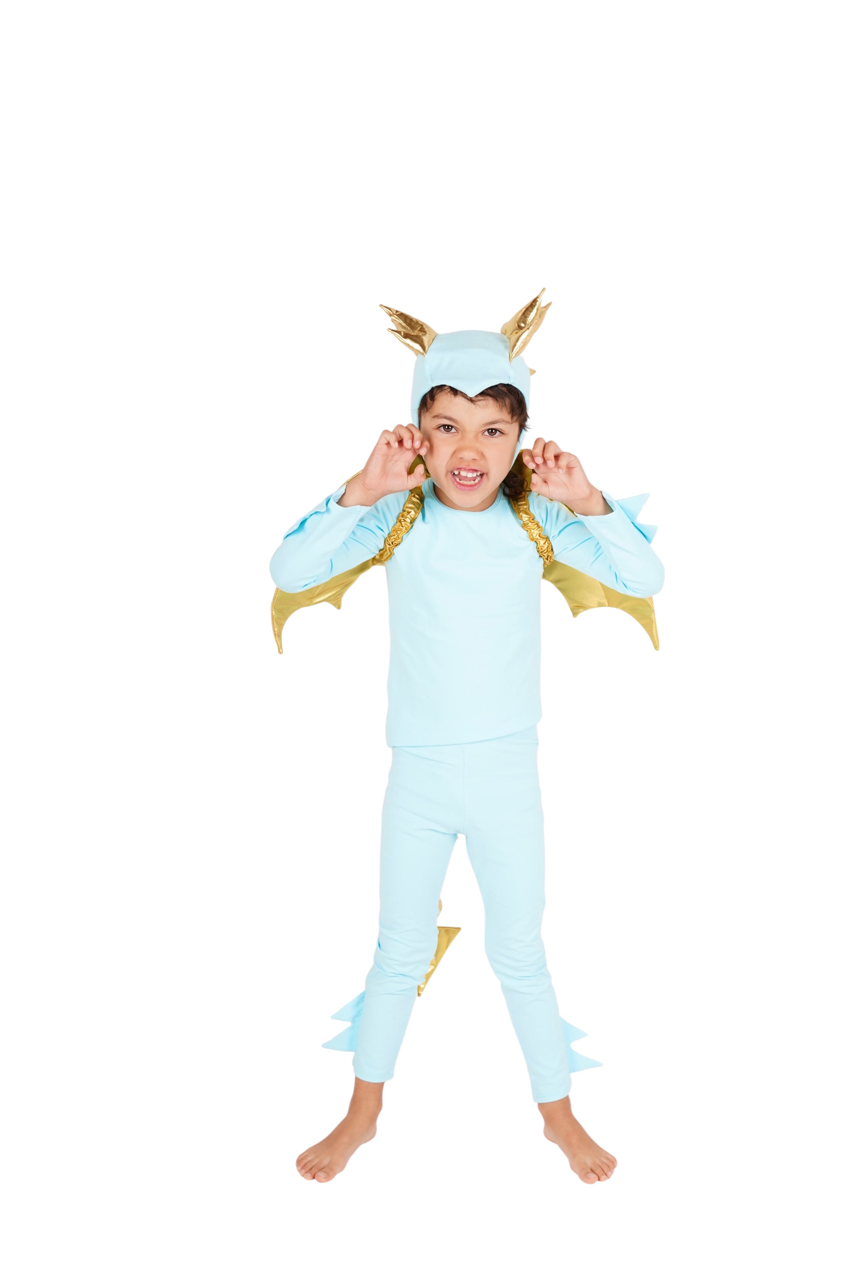 Sky Blue Dragon Costume