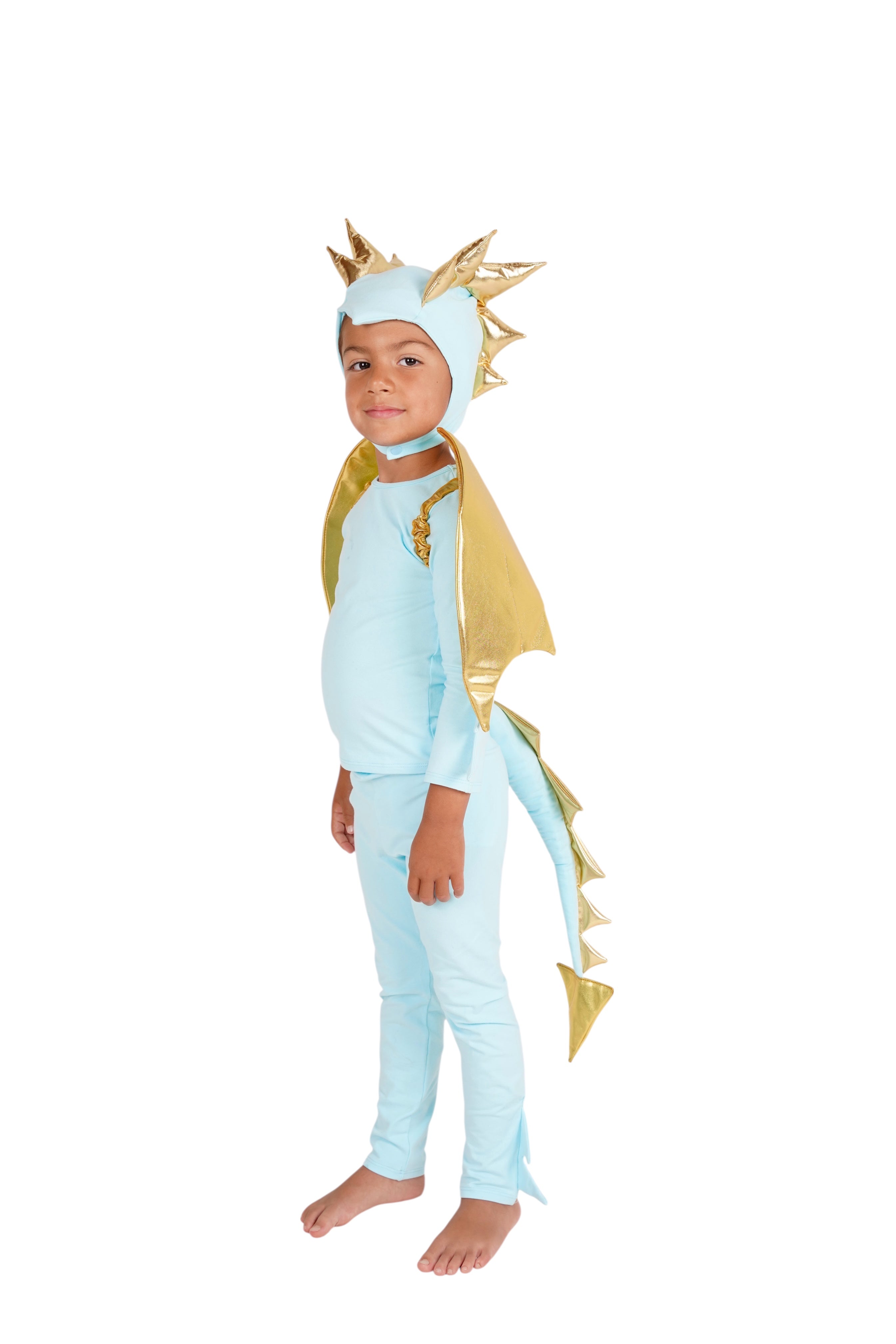Sky Blue Dragon Costume