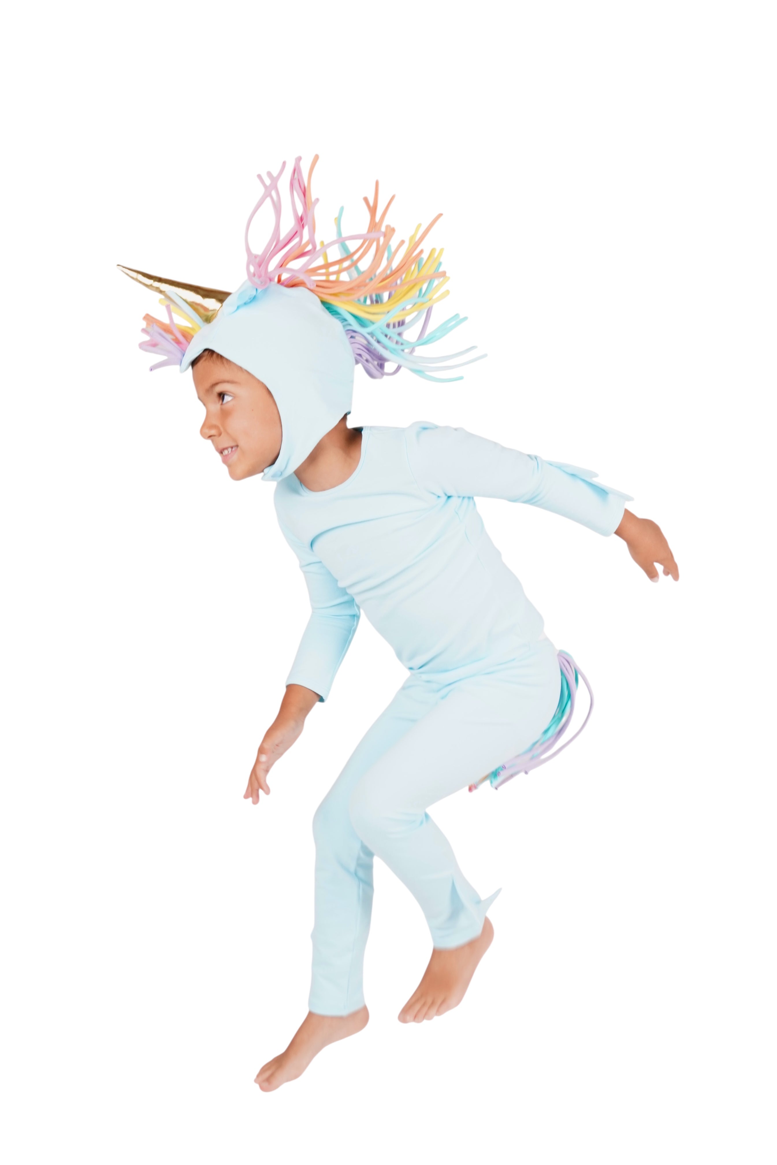 Rainbow Sky Unicorn
