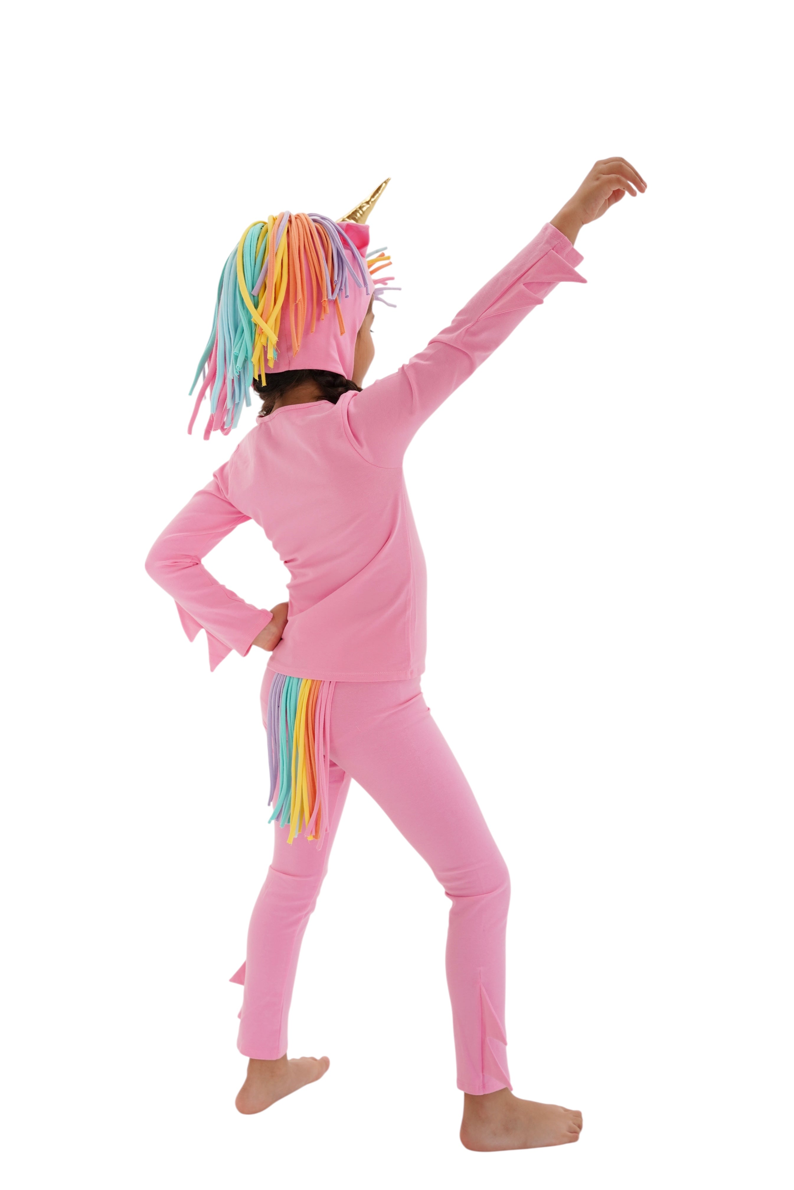 Pink Stardancer Unicorn