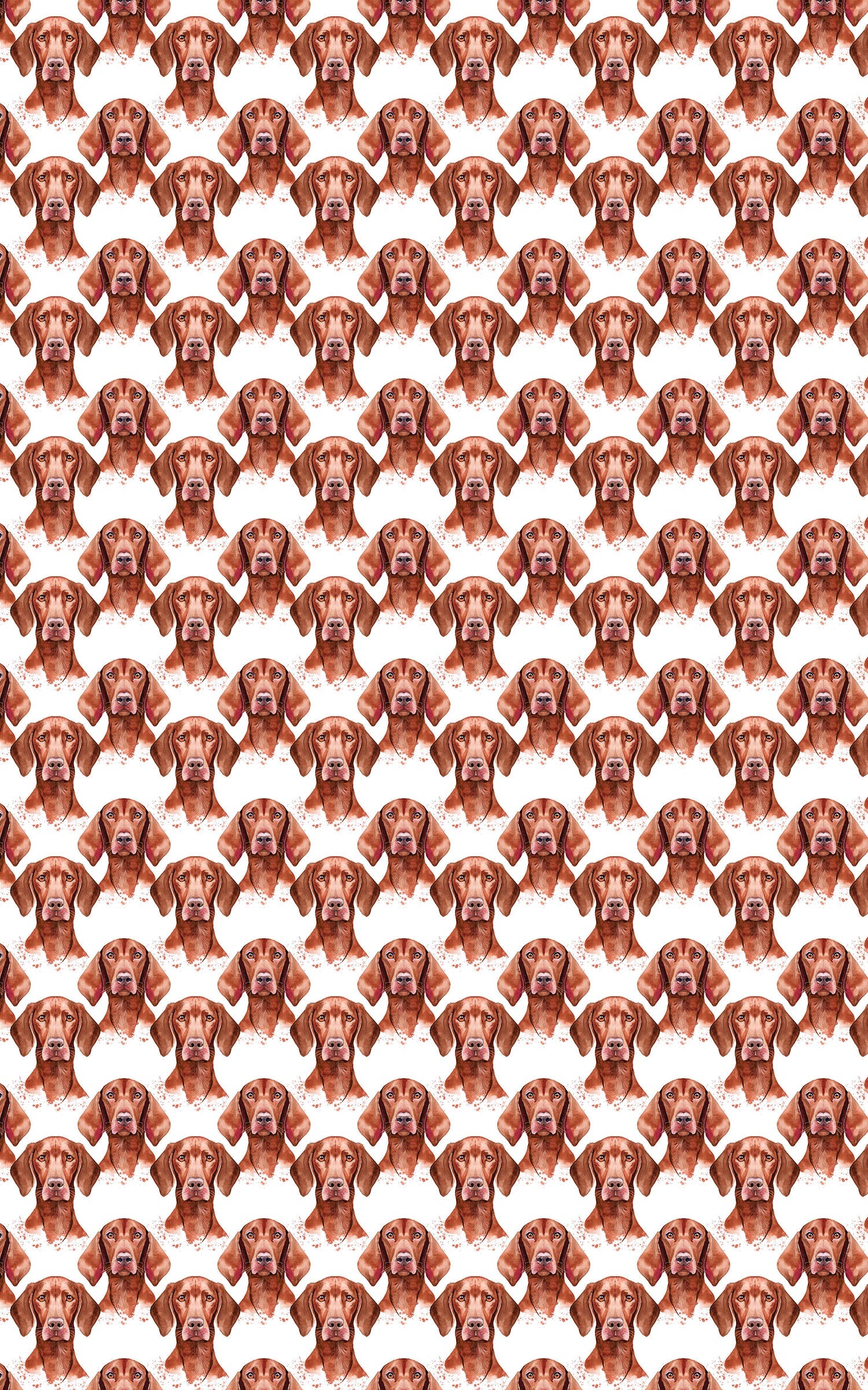 Velvet Vizsla
