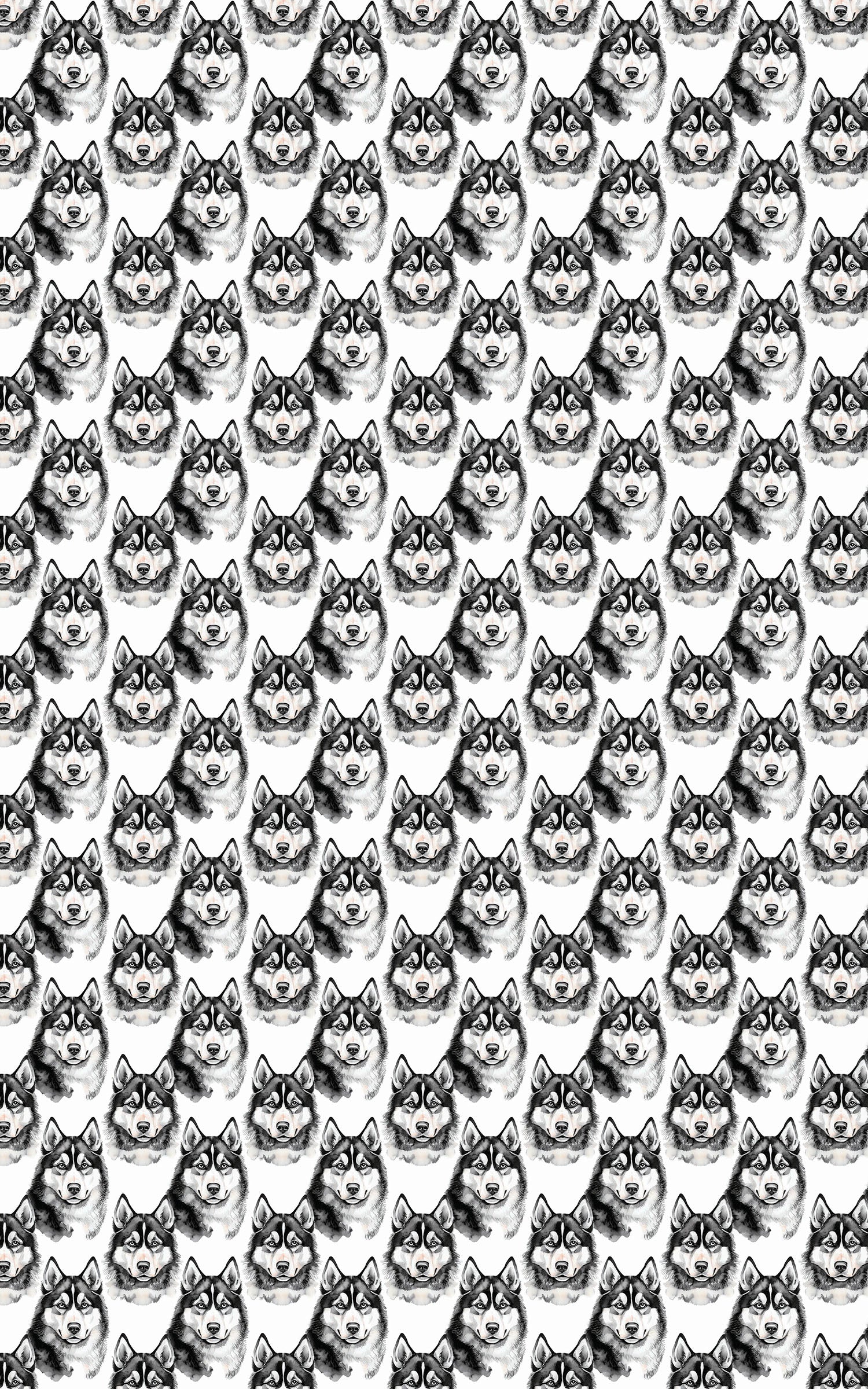 Snow Trails & Husky Tails