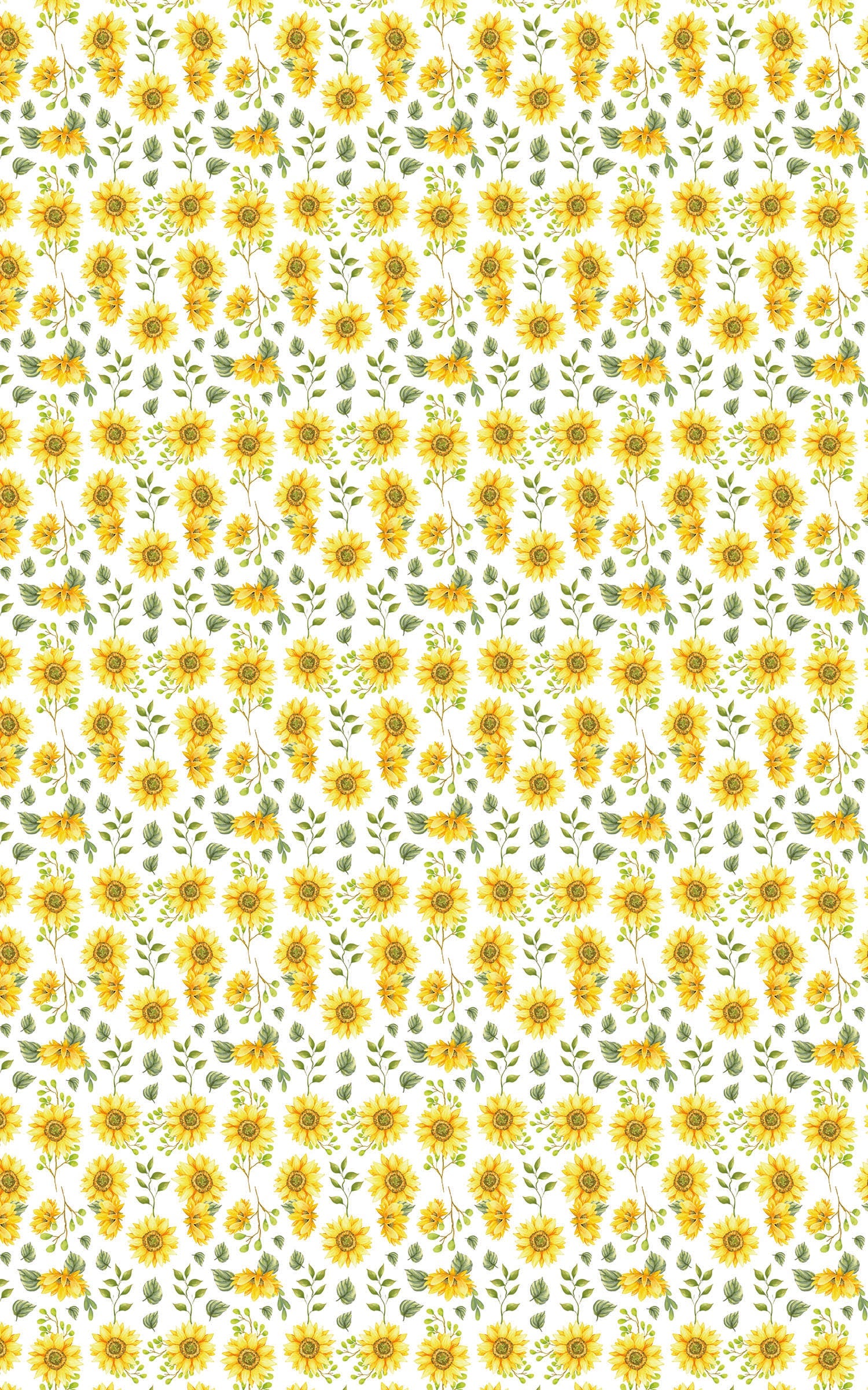 Sunflower White